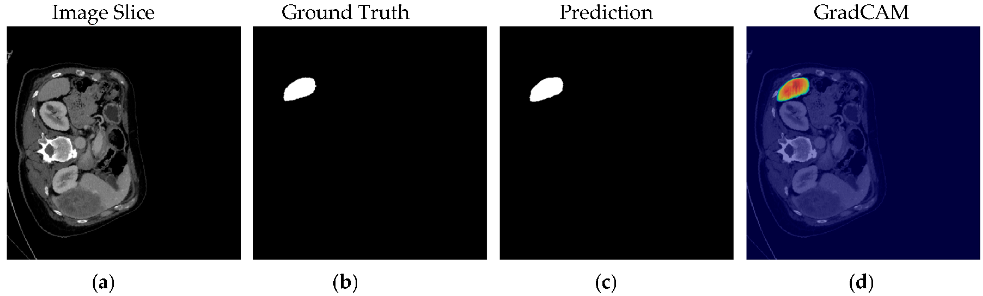 Biomedinformatics 05 00056 g010 Biomedinformatics 05 00056 g010