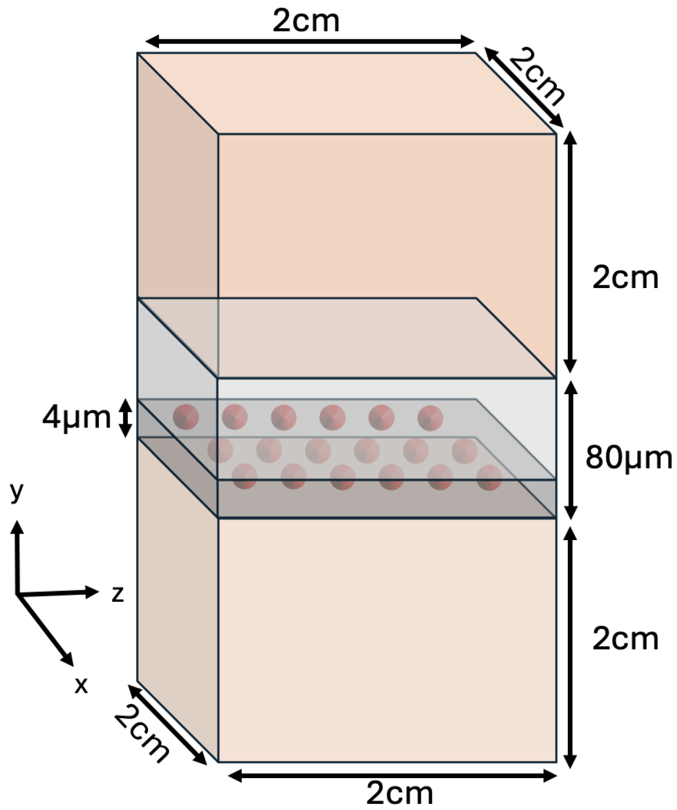 Biomedinformatics 05 00058 g001 Biomedinformatics 05 00058 g001
