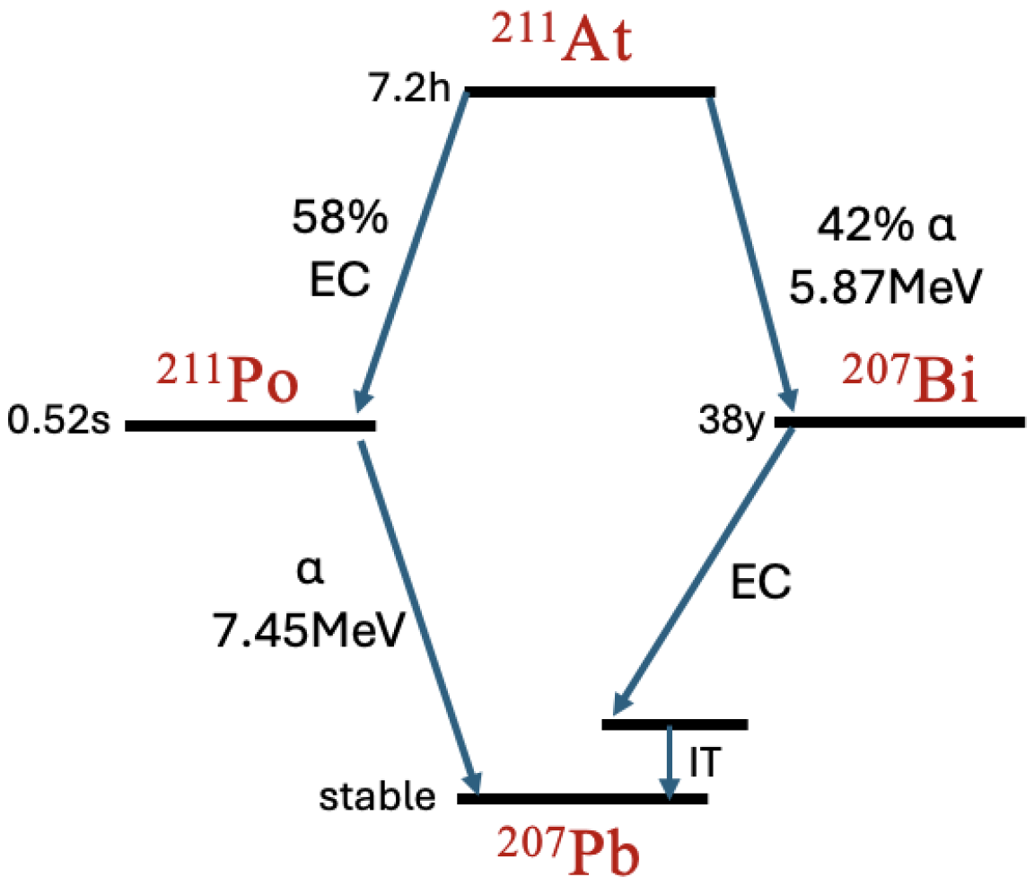 Biomedinformatics 05 00058 g002 Biomedinformatics 05 00058 g002
