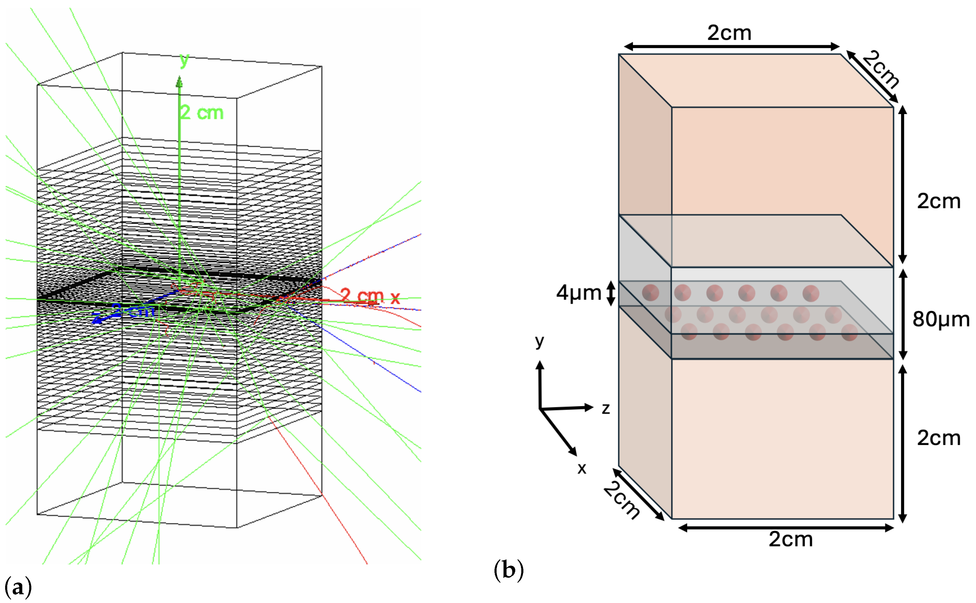 Biomedinformatics 05 00058 g005 Biomedinformatics 05 00058 g005