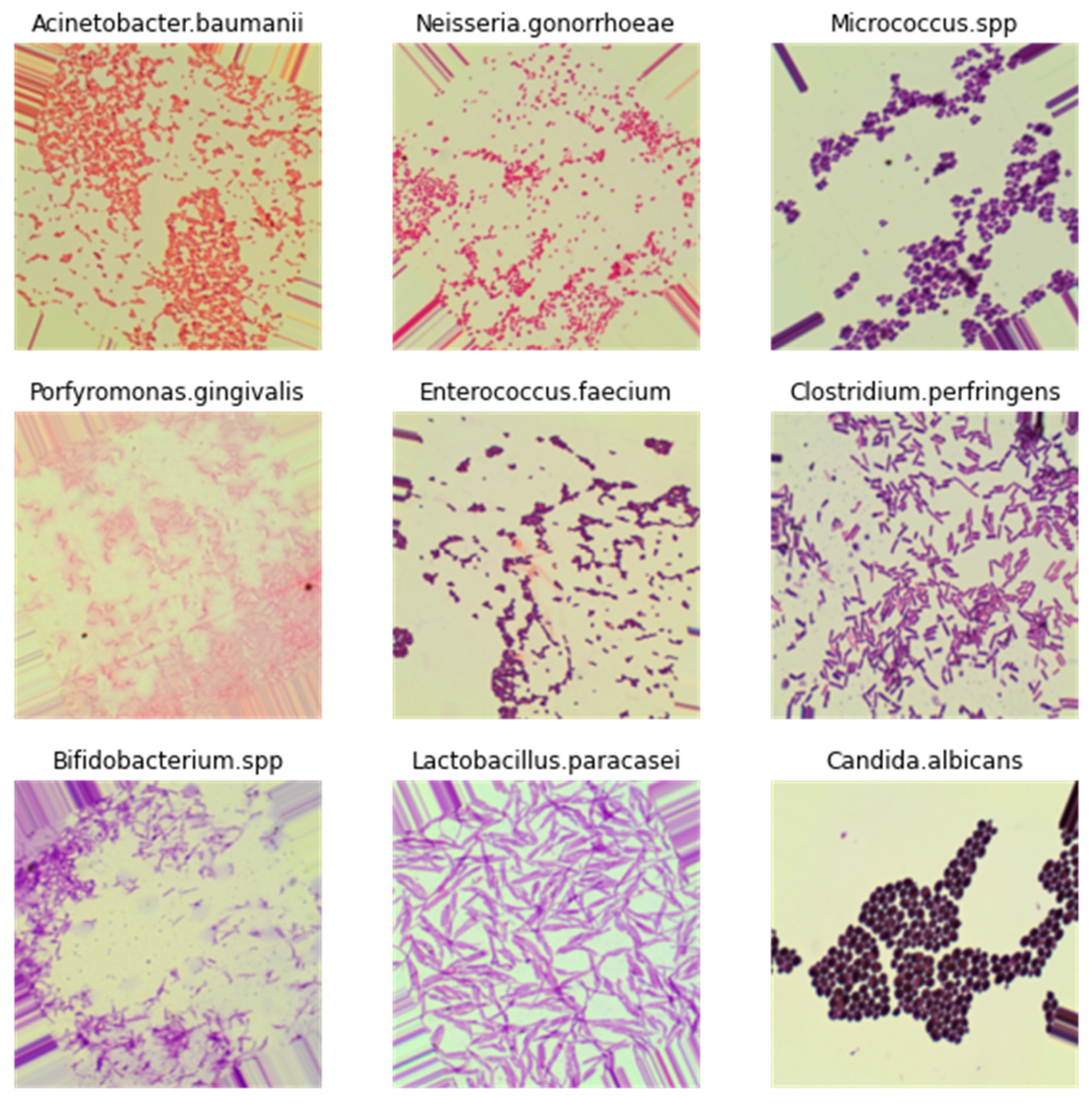 Biomedinformatics 05 00061 g017