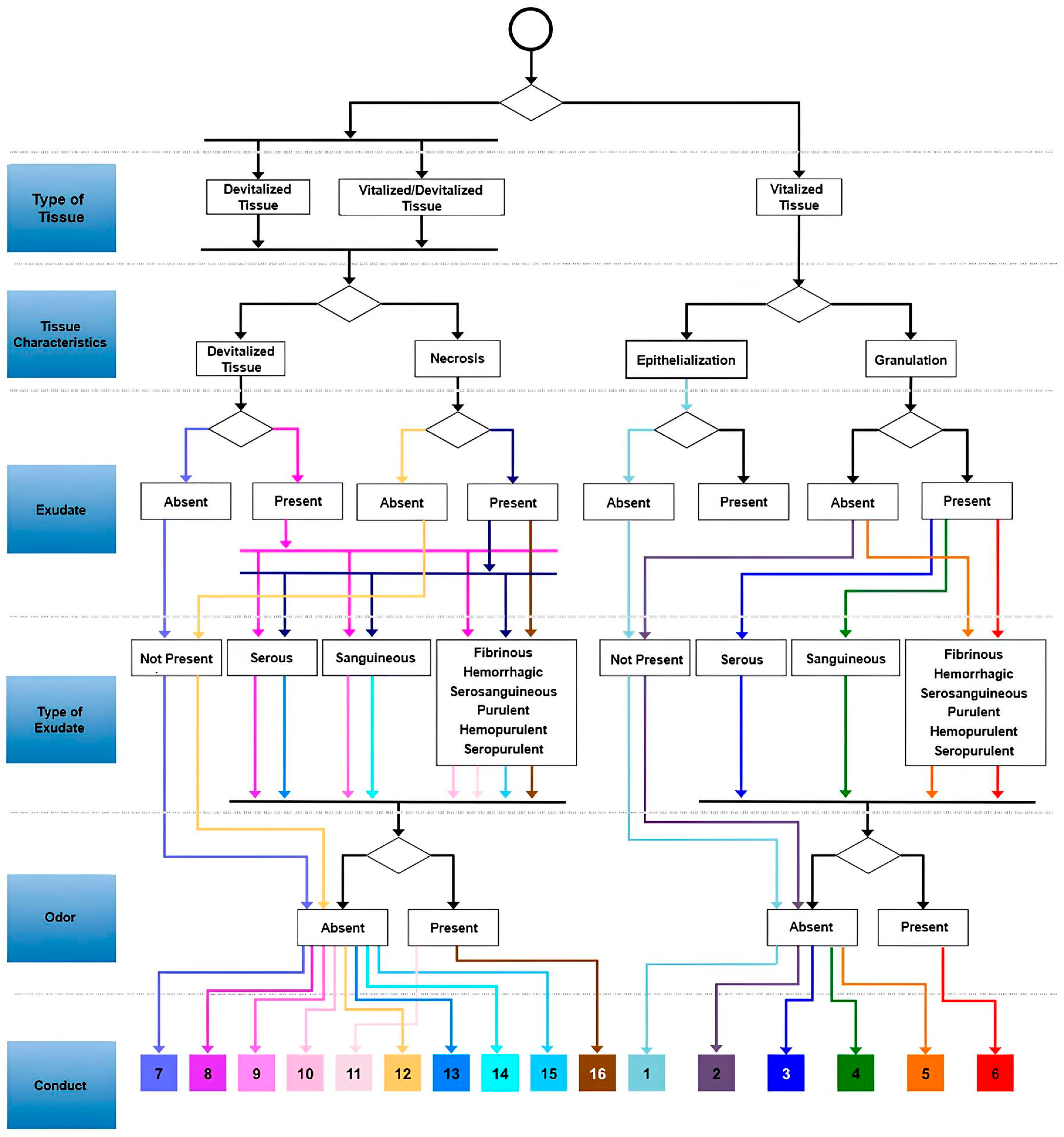 Biomedinformatics 05 00072 g001