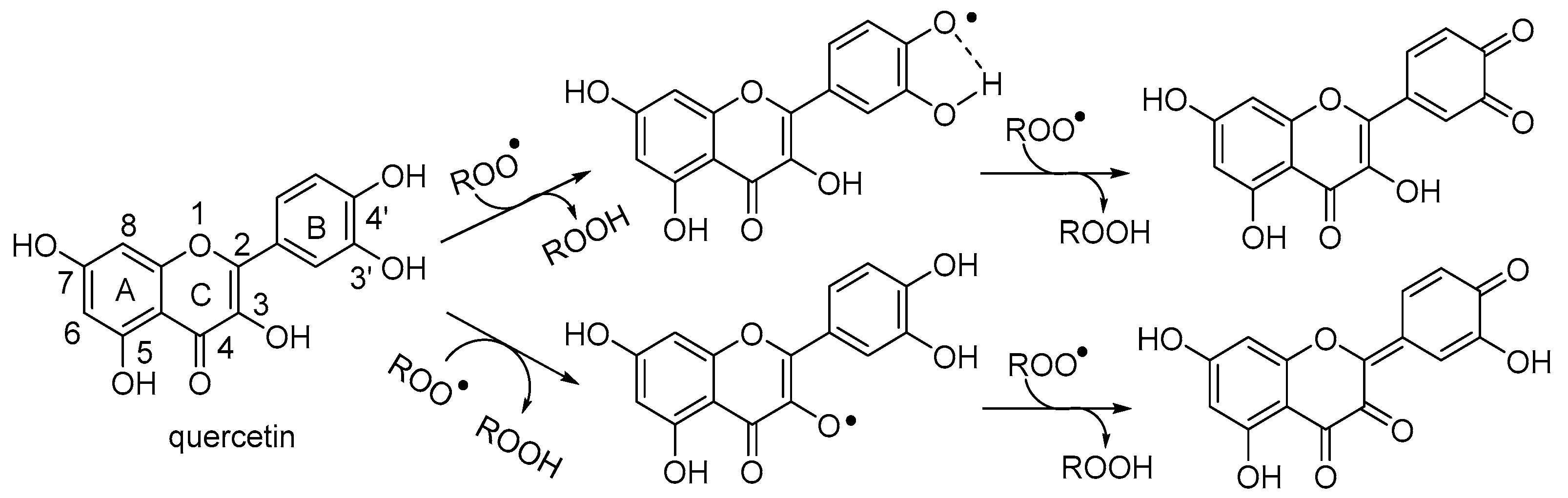 Biomimetics Free FullText The Antioxidant Activity of Quercetin in