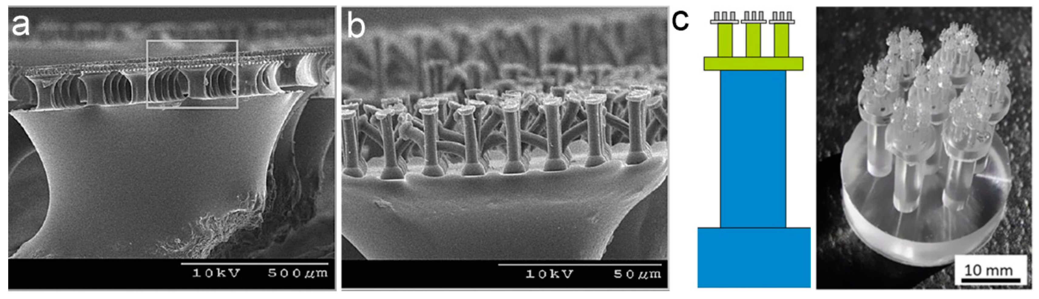 Biomimetics 02 00010 g004