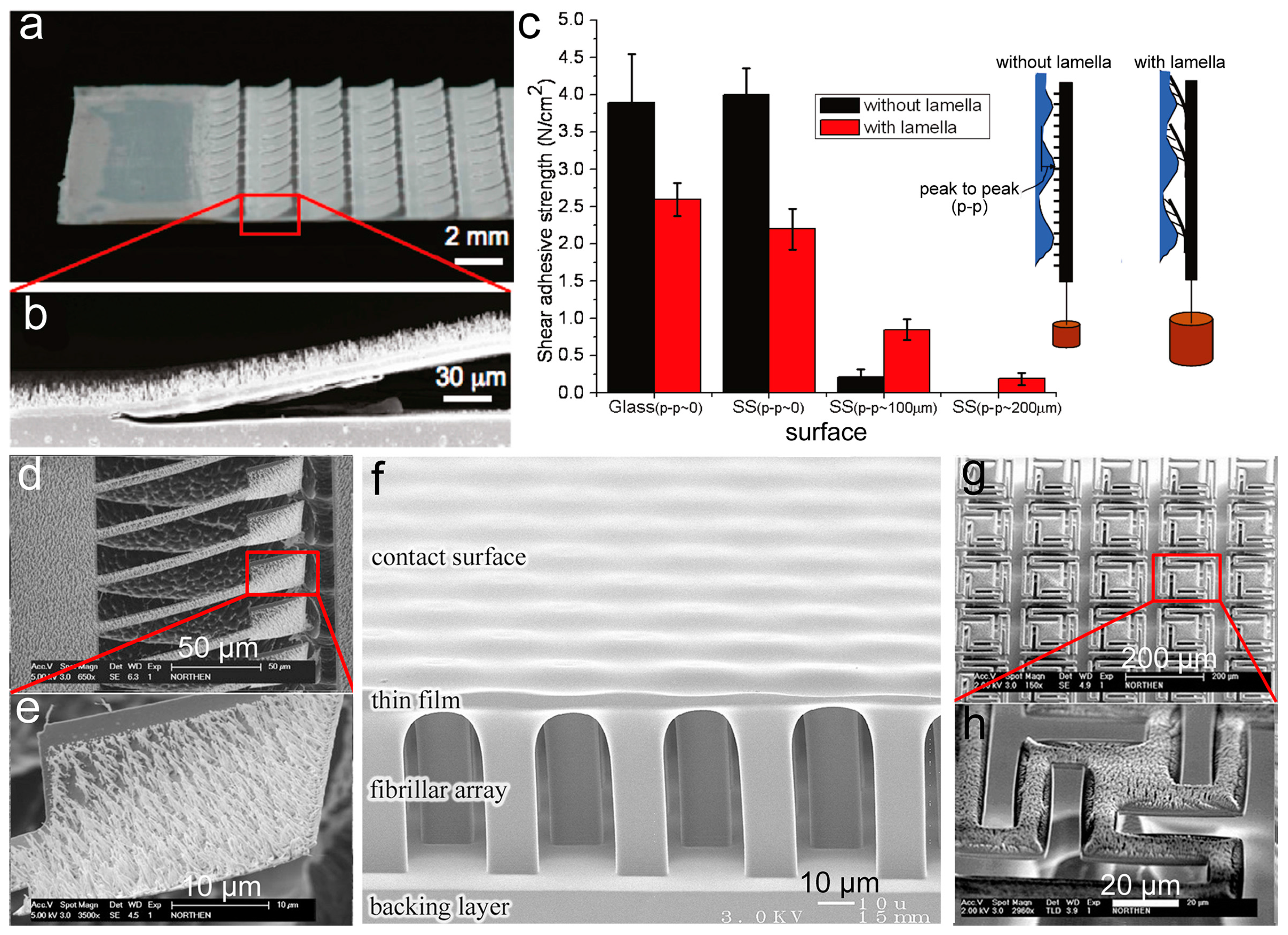 Biomimetics 02 00010 g007