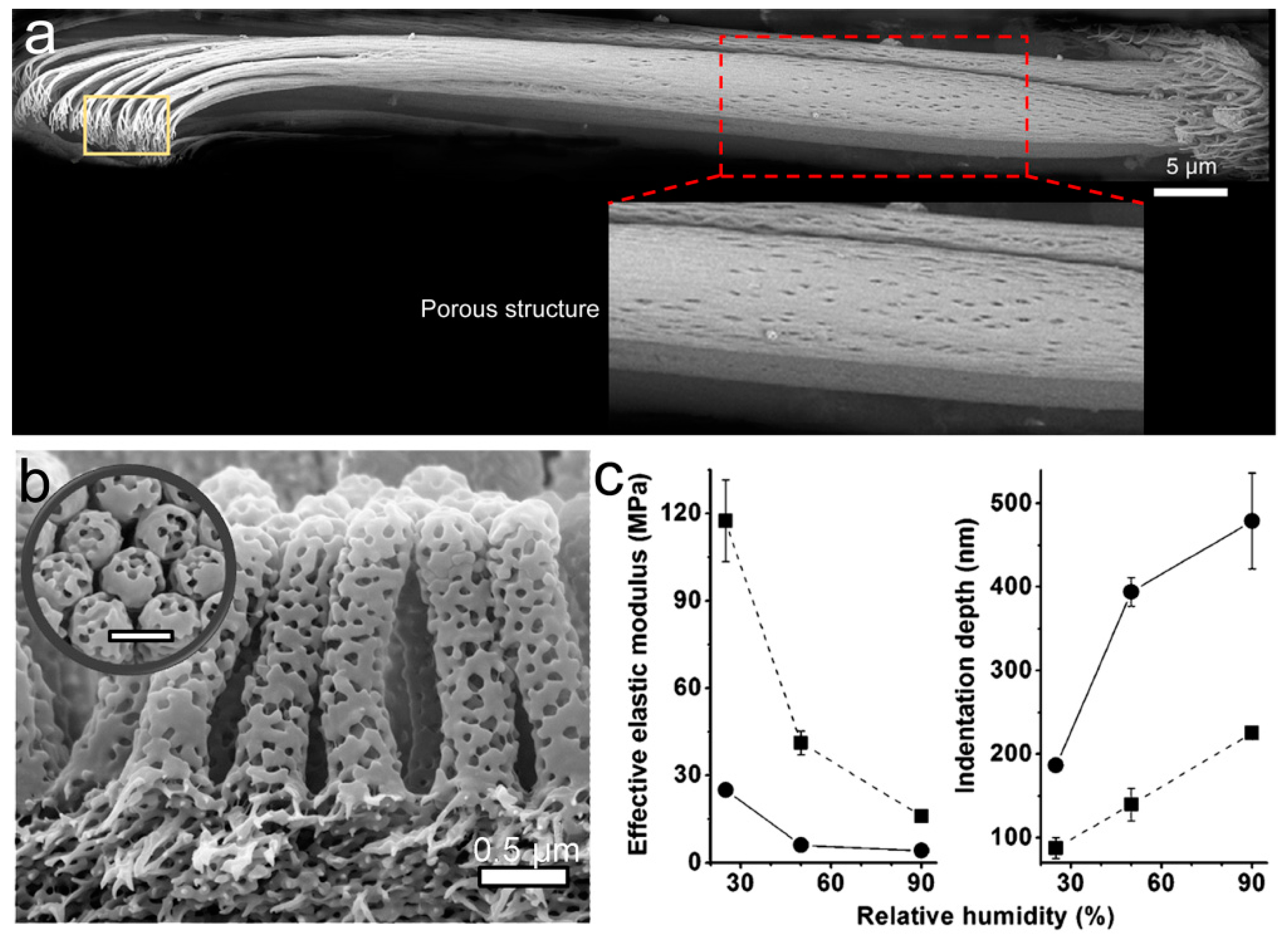 Biomimetics 02 00010 g008