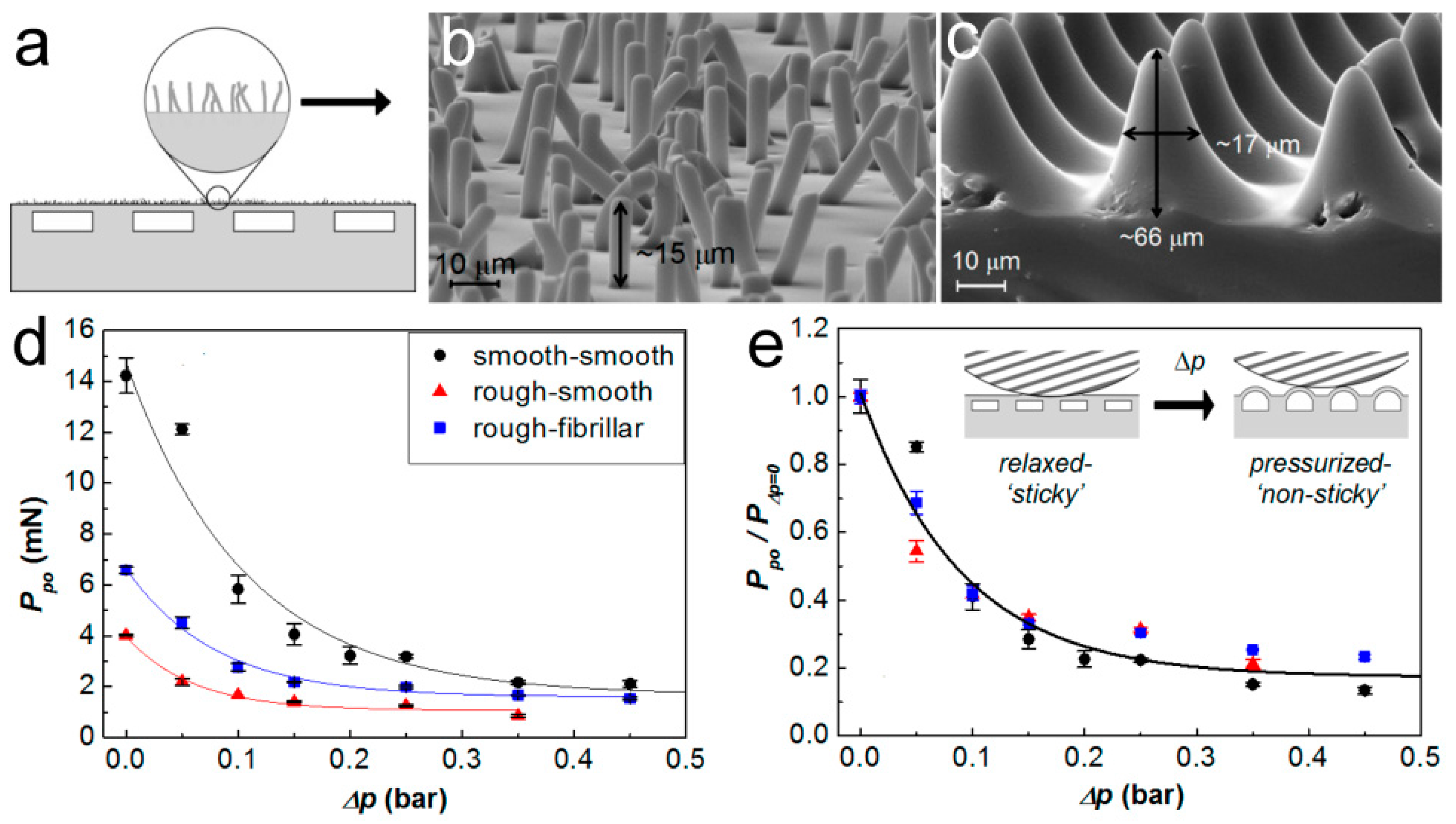 Biomimetics 02 00010 g009