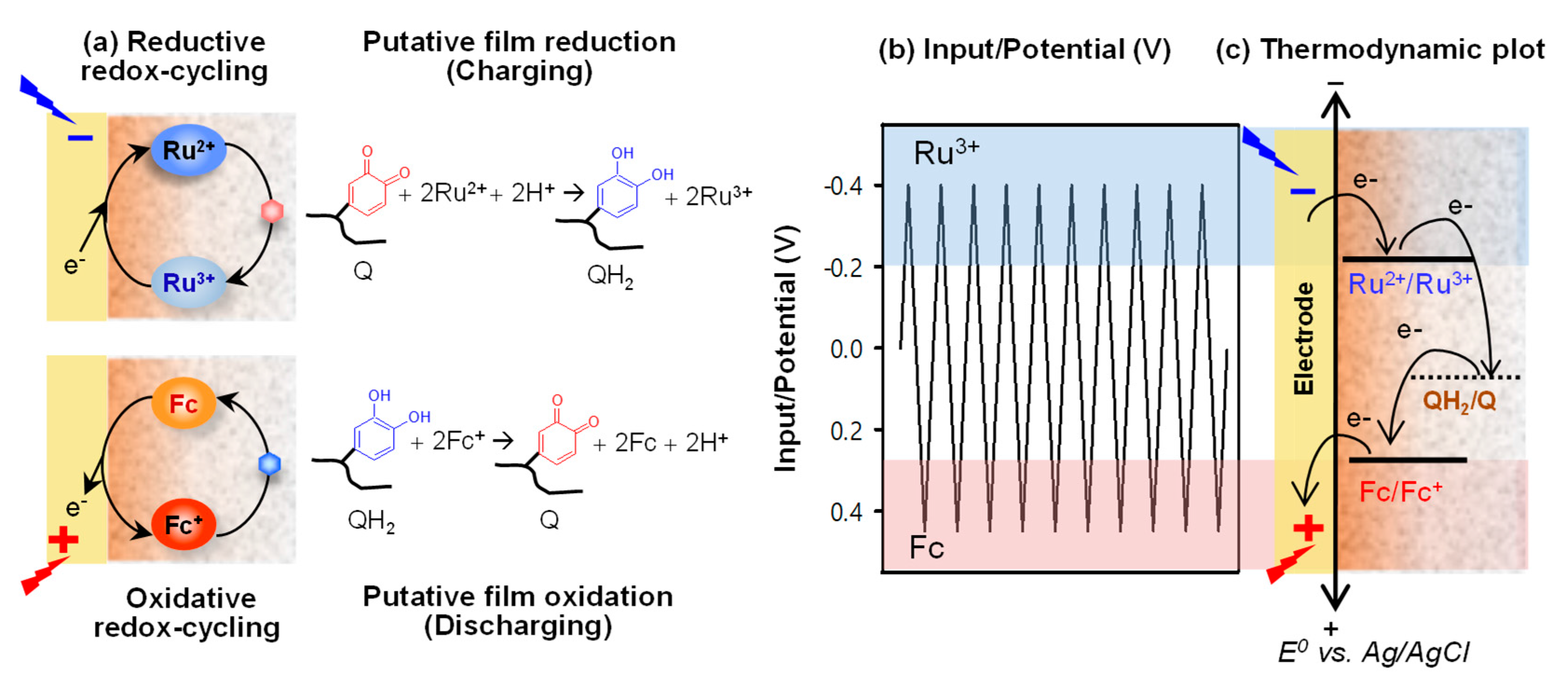 Biomimetics Free Full Text Catechol Based Hydrogel For Chemical Information Processing Html