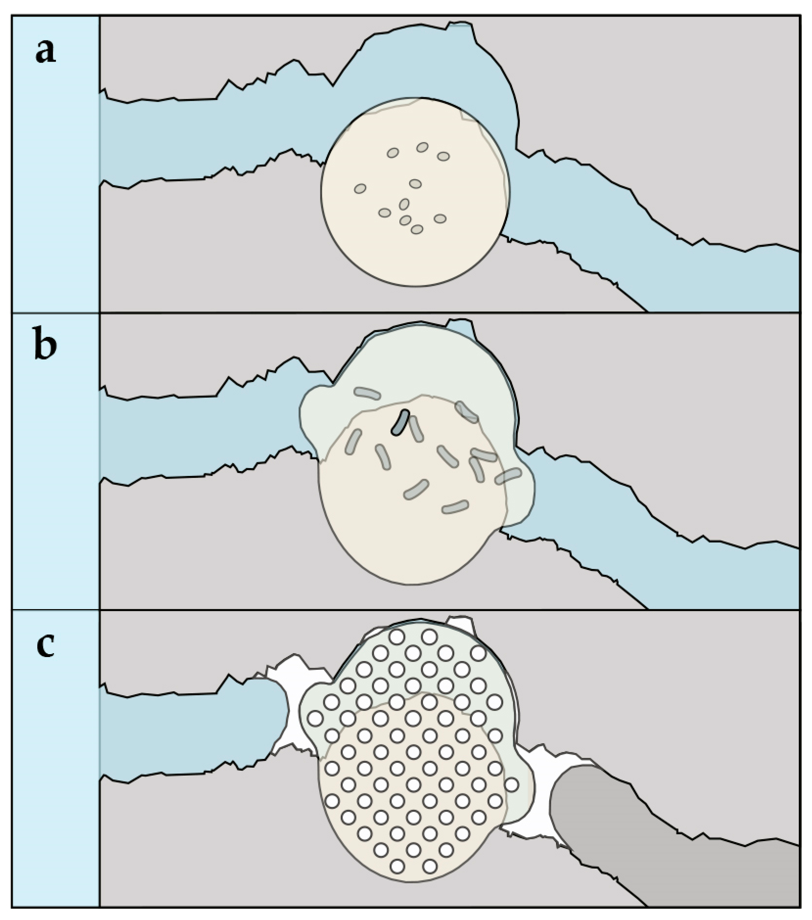 Biomimetics 02 00013 g001 550