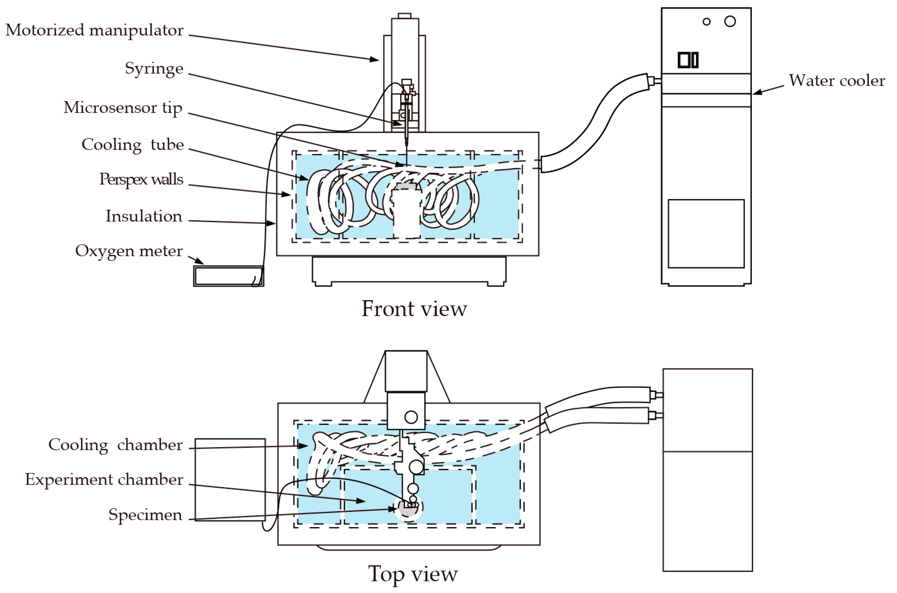 Biomimetics 02 00013 g003 550