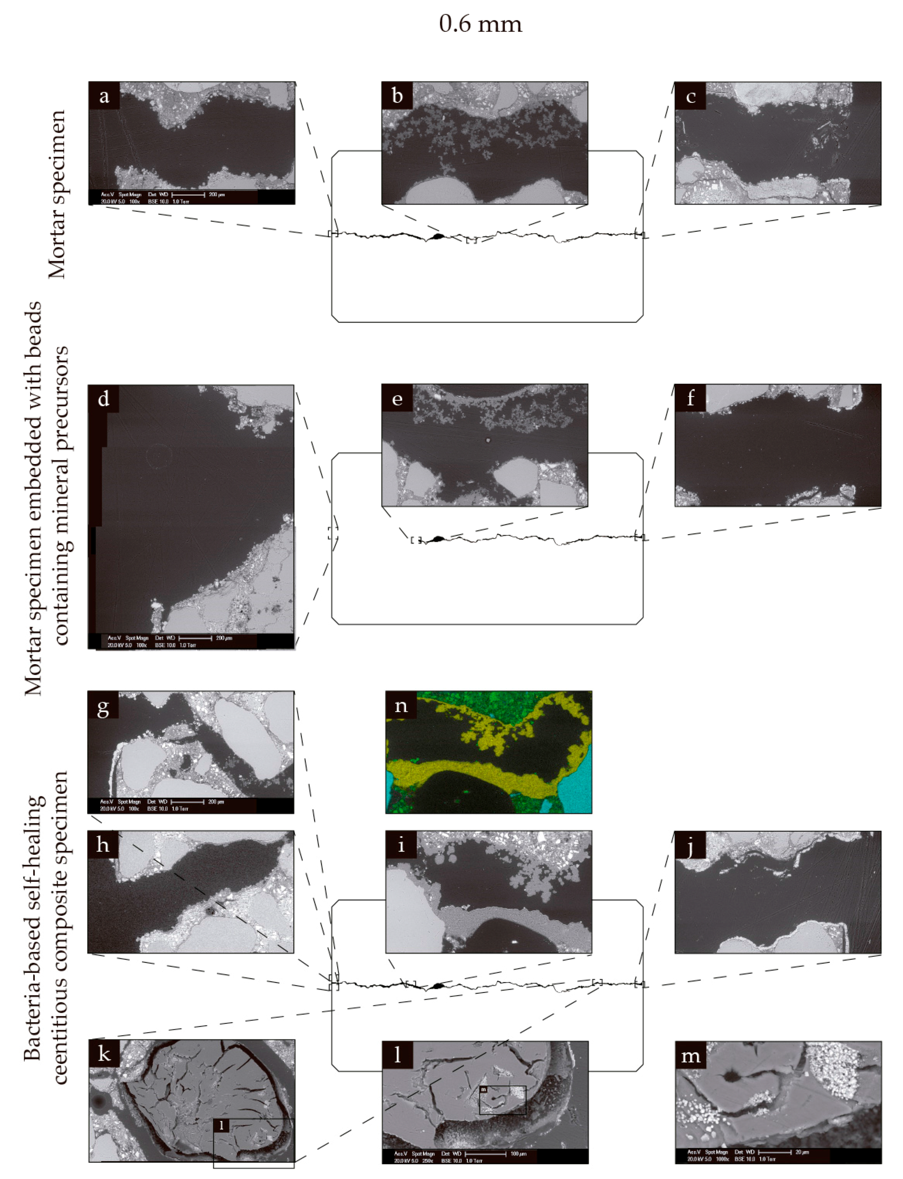 Biomimetics 02 00013 g007 550
