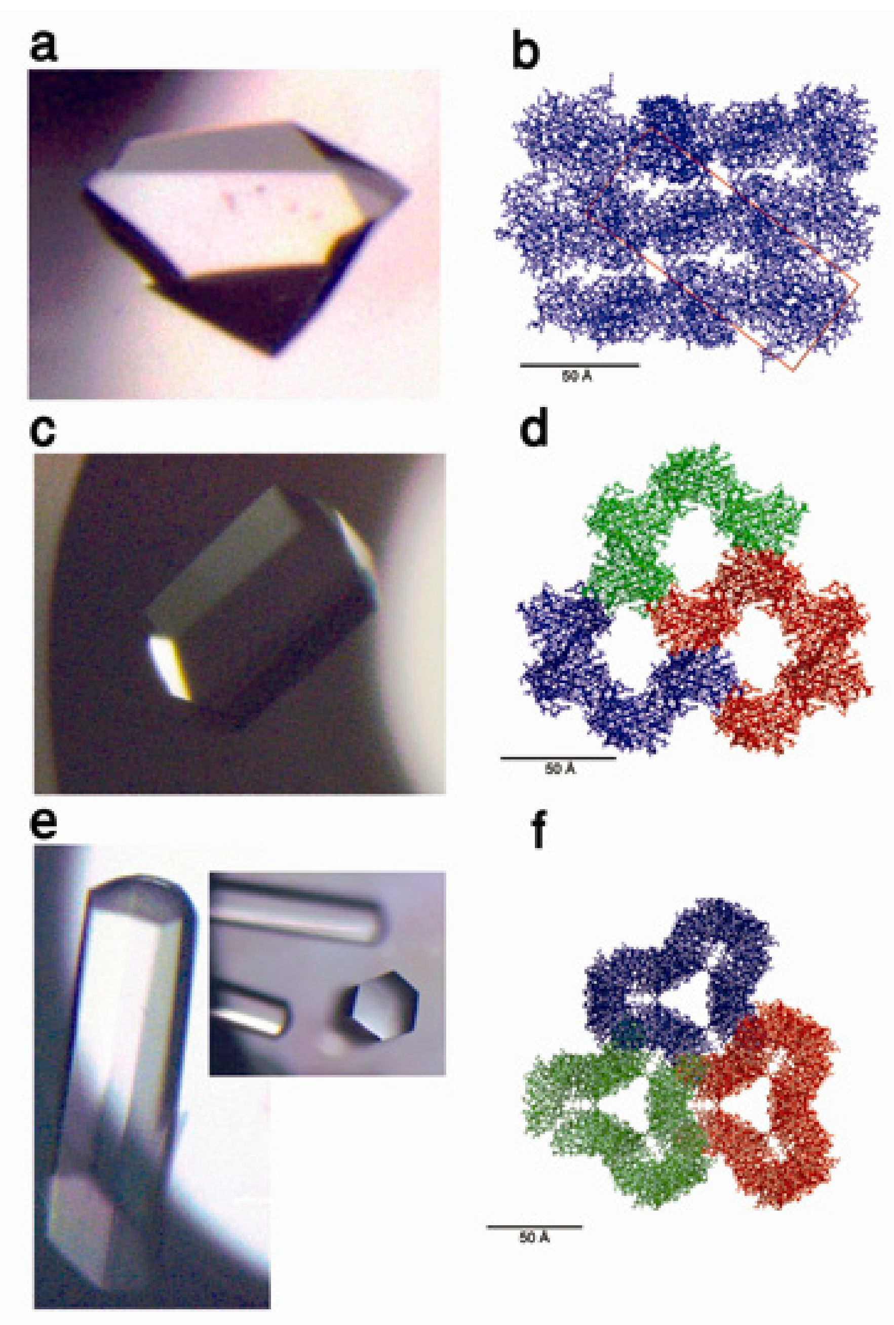 Biomimetics 02 00014 g005