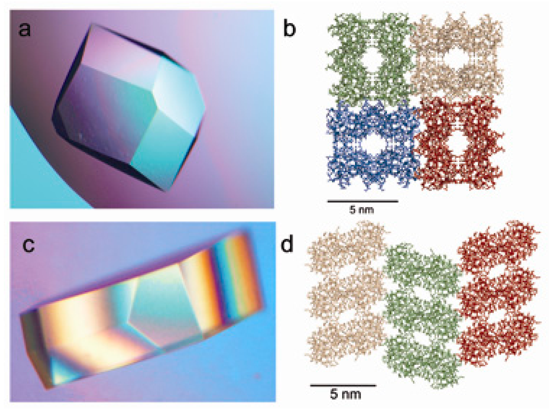 Biomimetics 02 00014 g006