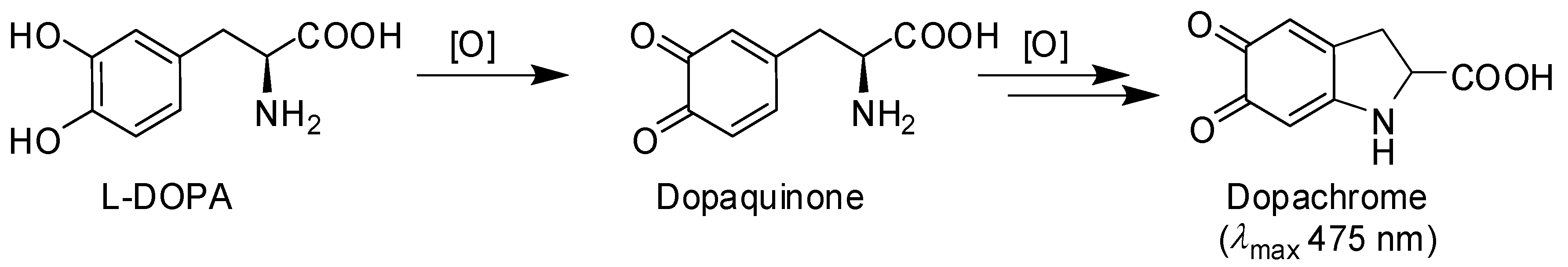 Biomimetics 02 00015 sch001
