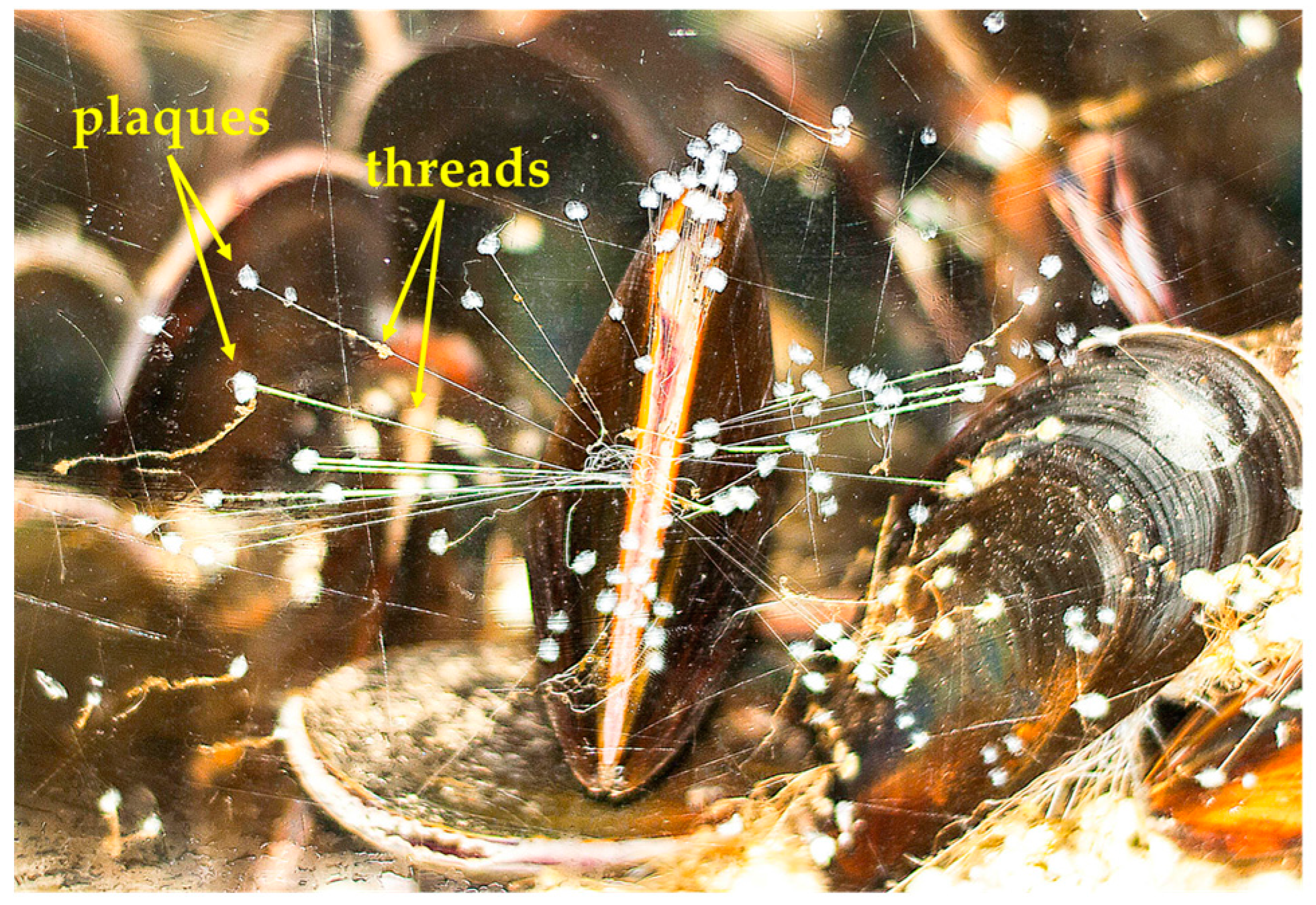 biomimetics free full text examining potential active university of purdue