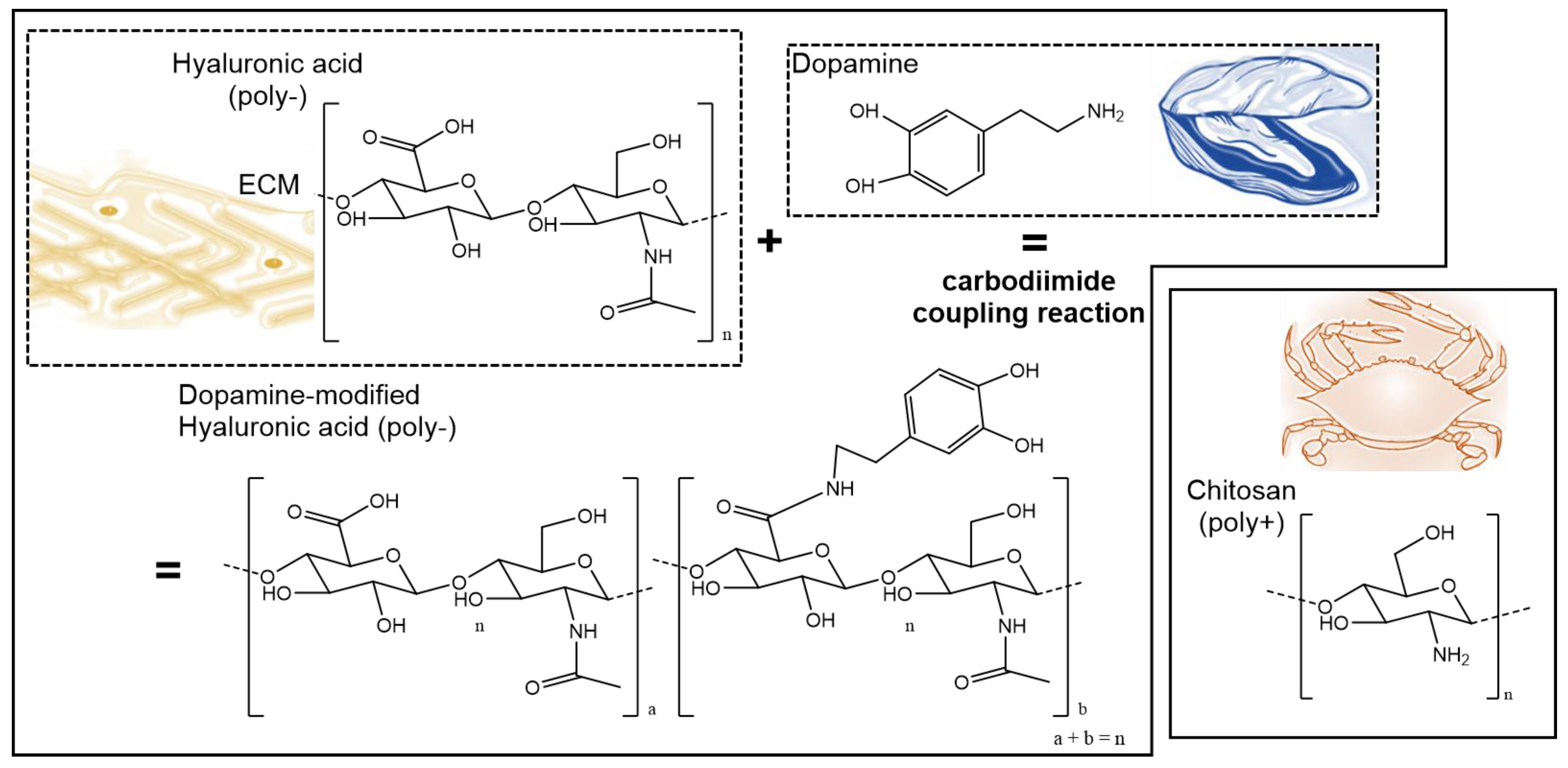 Biomimetics 02 00019 g001 Biomimetics 02 00019 g001
