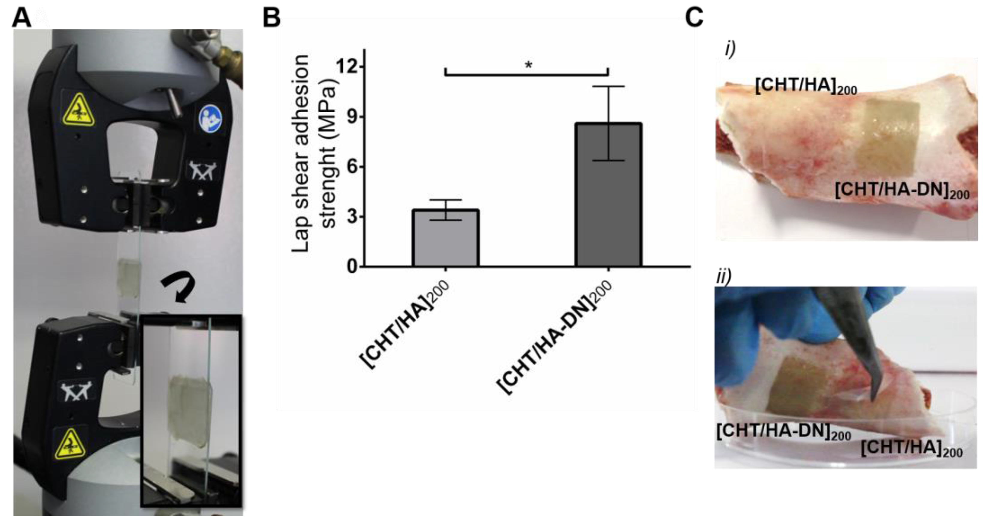 Biomimetics 02 00019 g006 Biomimetics 02 00019 g006