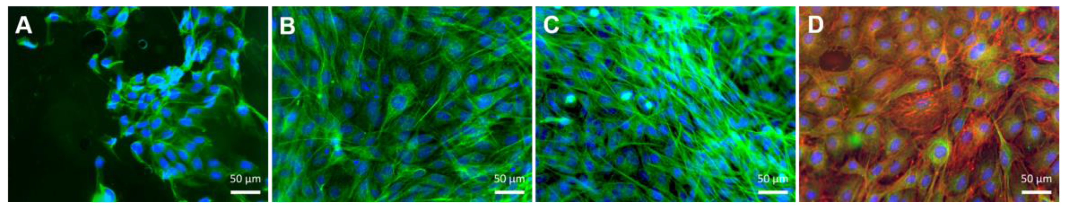 Biomimetics 02 00019 g008 Biomimetics 02 00019 g008