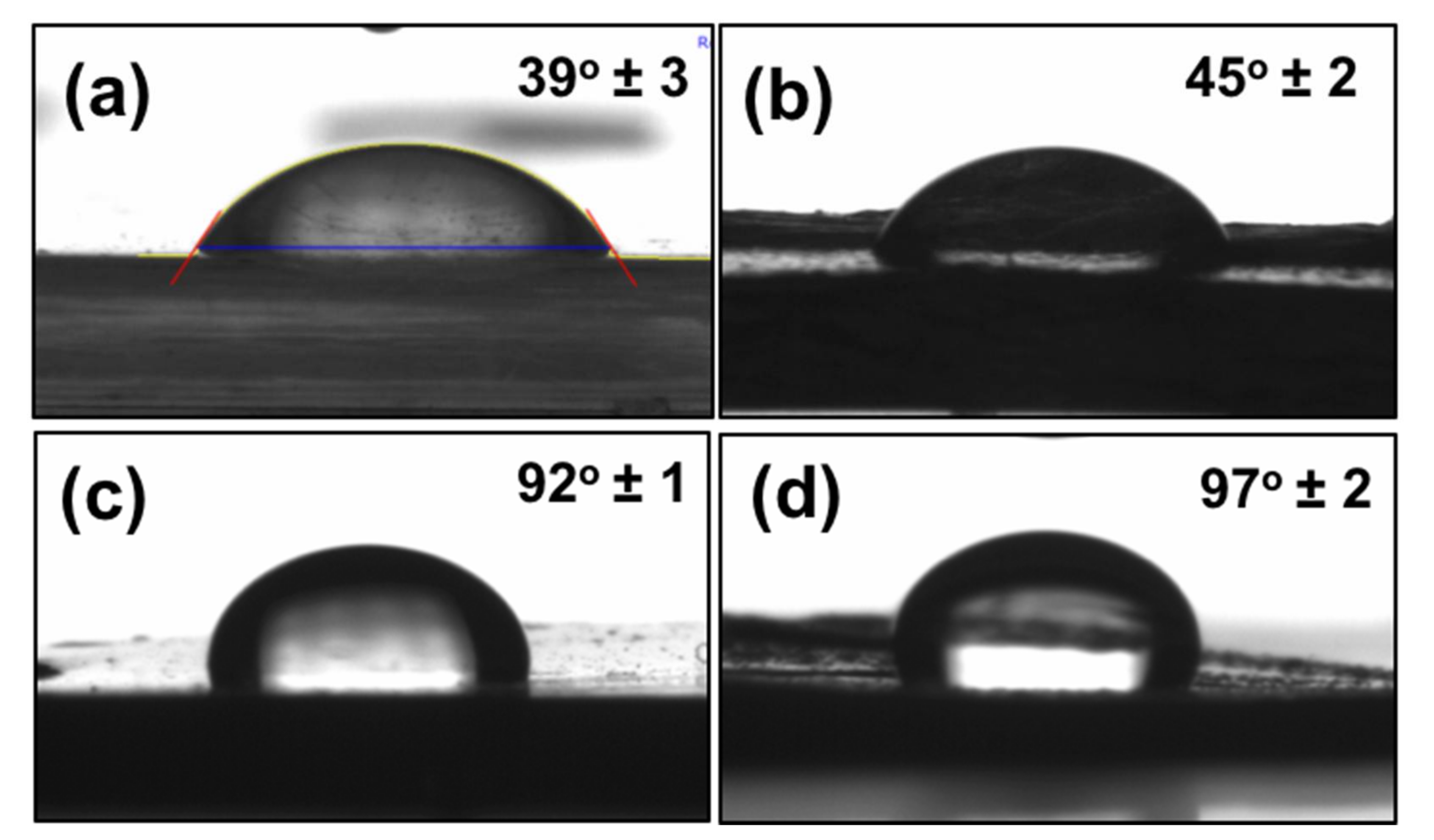 Biomimetics 03 00007 g005