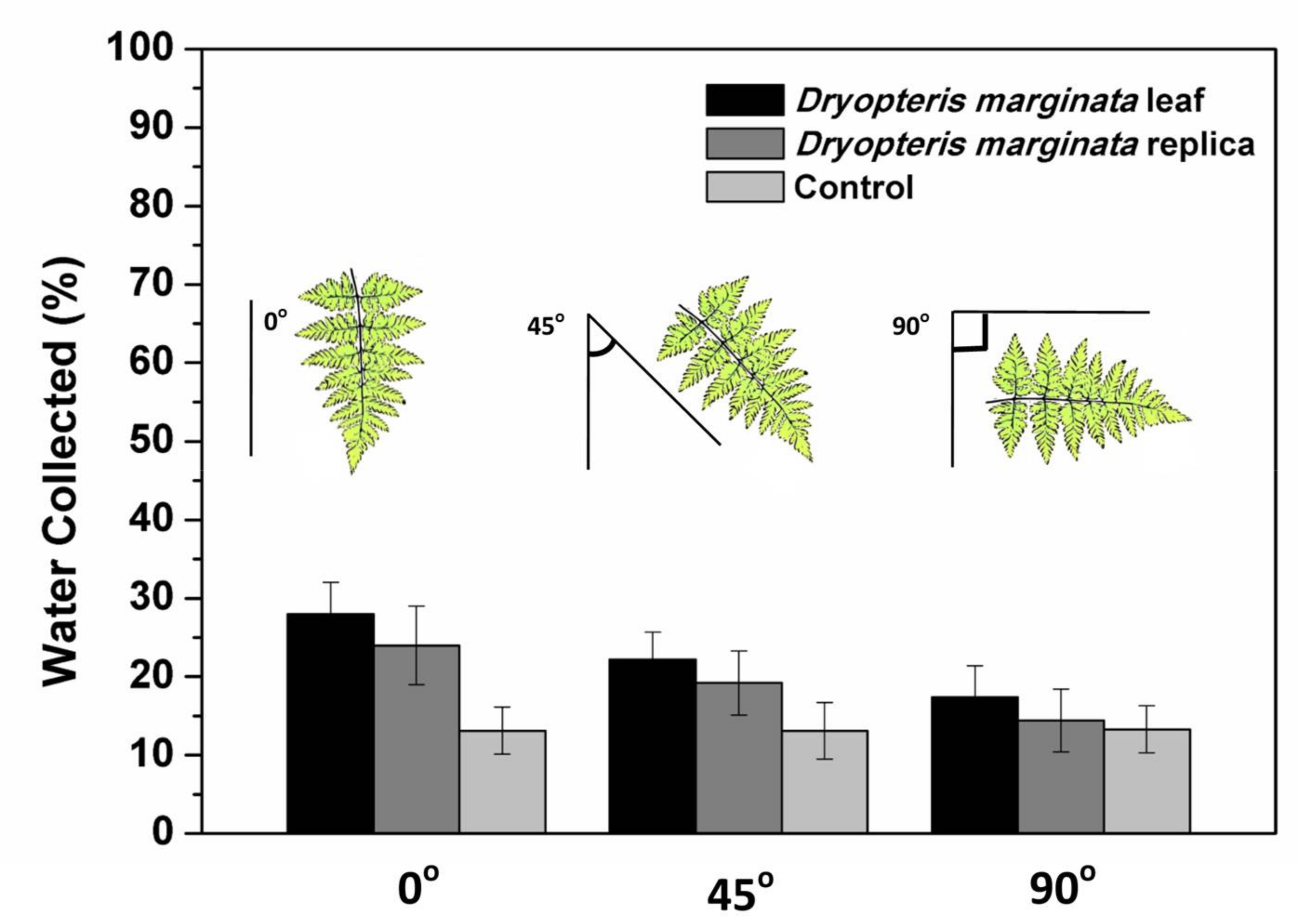 Biomimetics 03 00007 g007