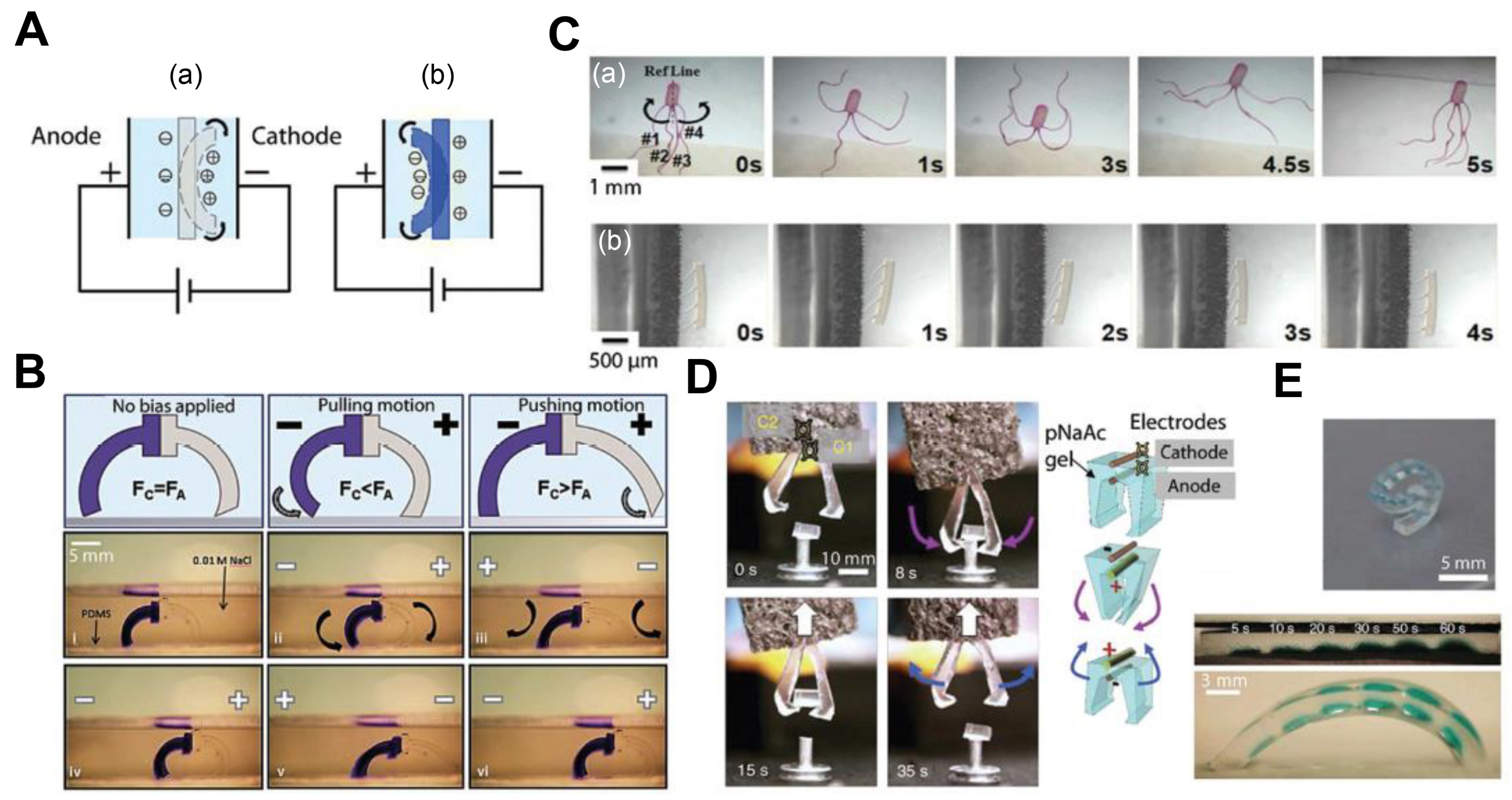 Biomimetics Free Full Text Hydrogel Actuators And - 