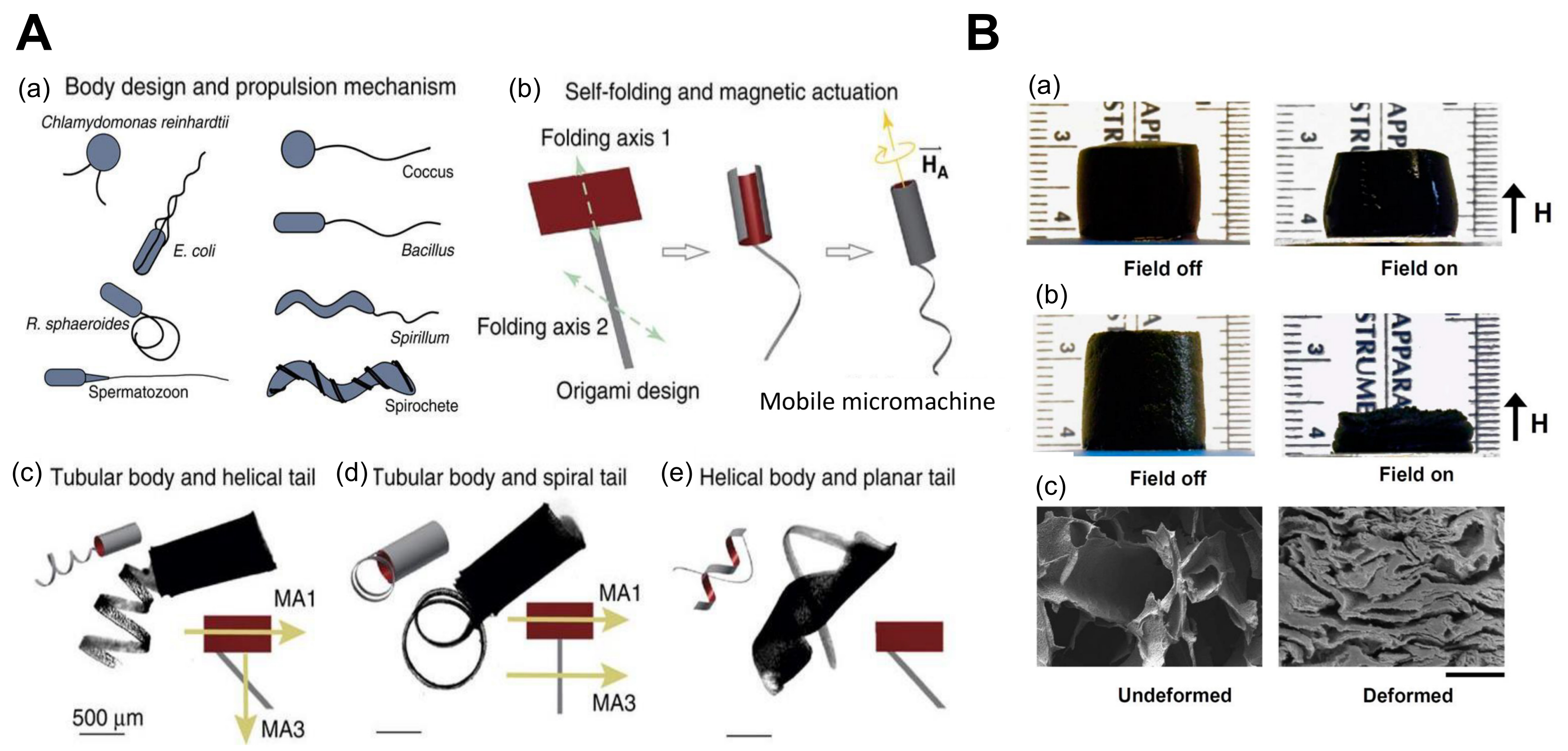 Biomimetics 03 00015 g005 Biomimetics 03 00015 g005