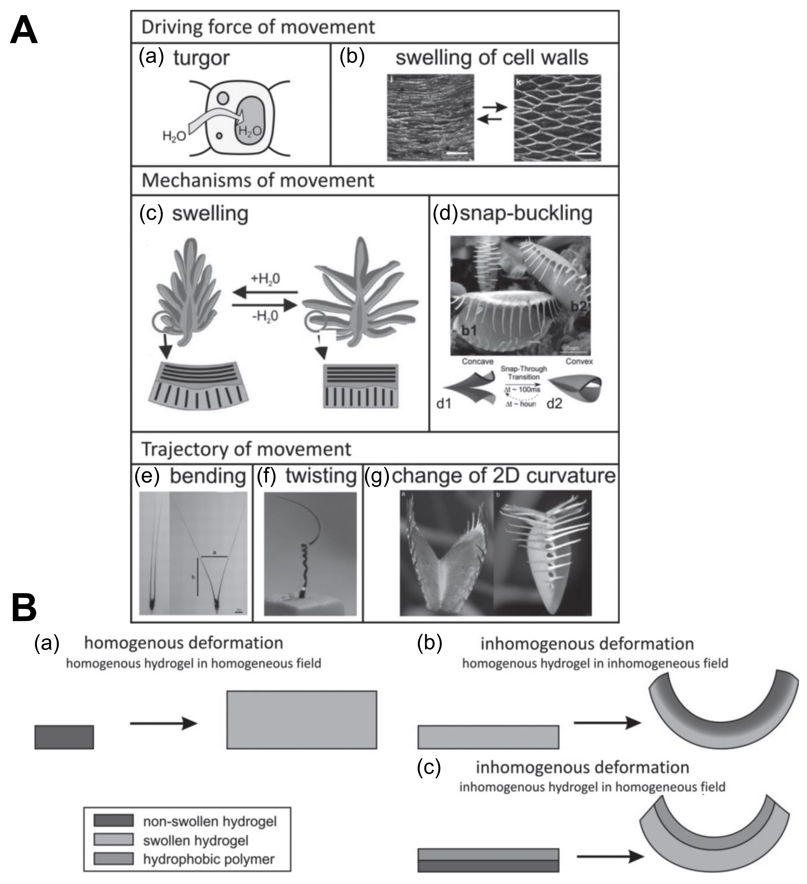 Biomimetics 03 00015 g006 Biomimetics 03 00015 g006