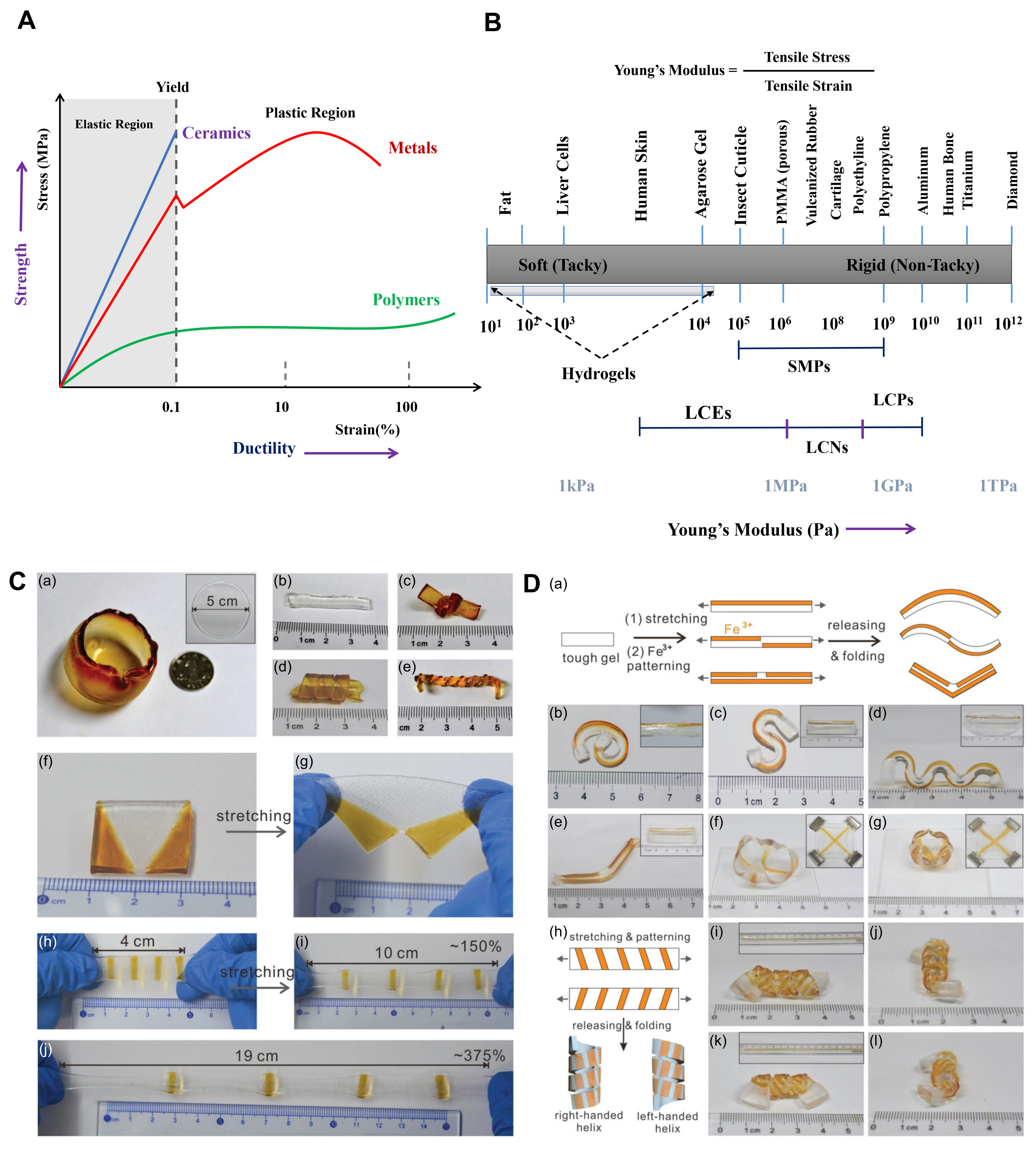 Biomimetics 03 00015 g012 Biomimetics 03 00015 g012