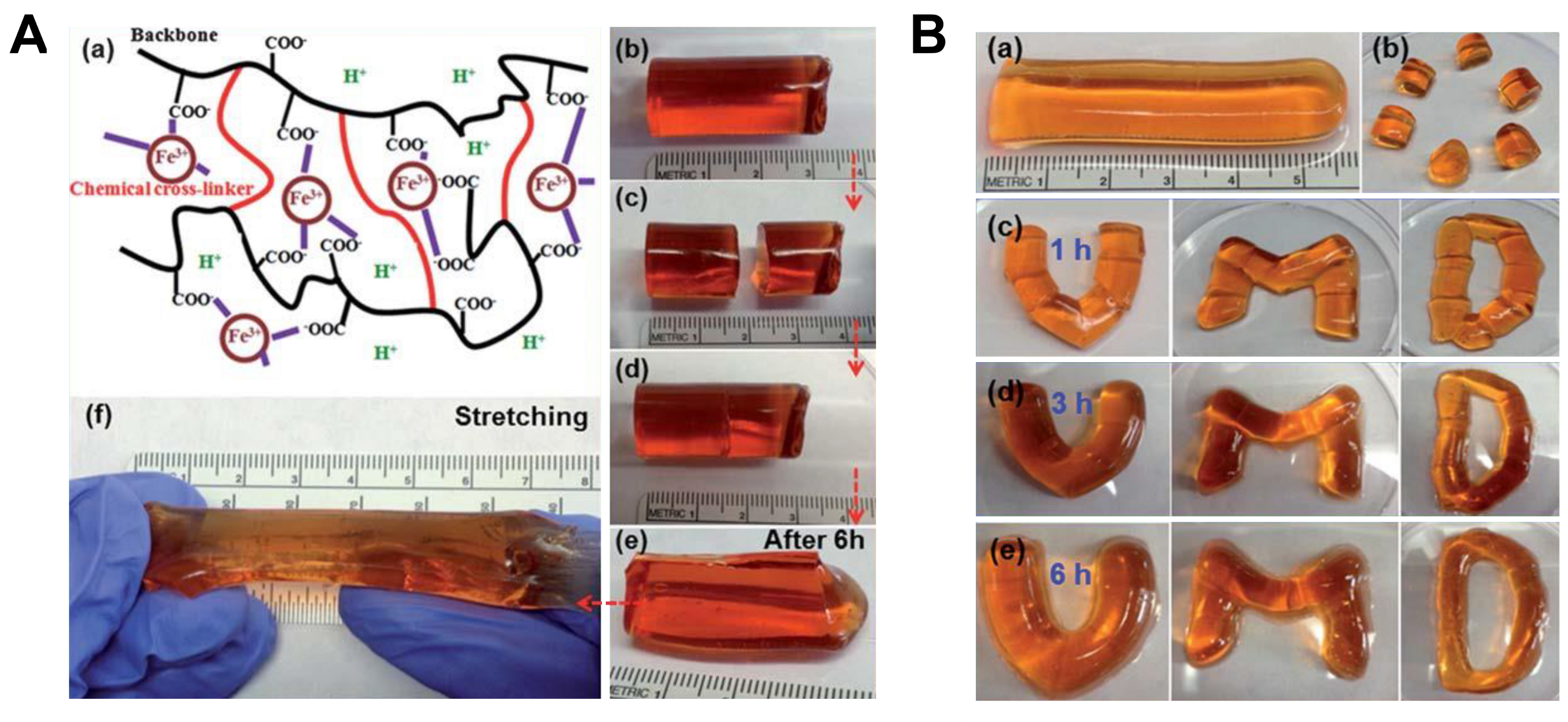 Biomimetics 03 00015 g015 Biomimetics 03 00015 g015