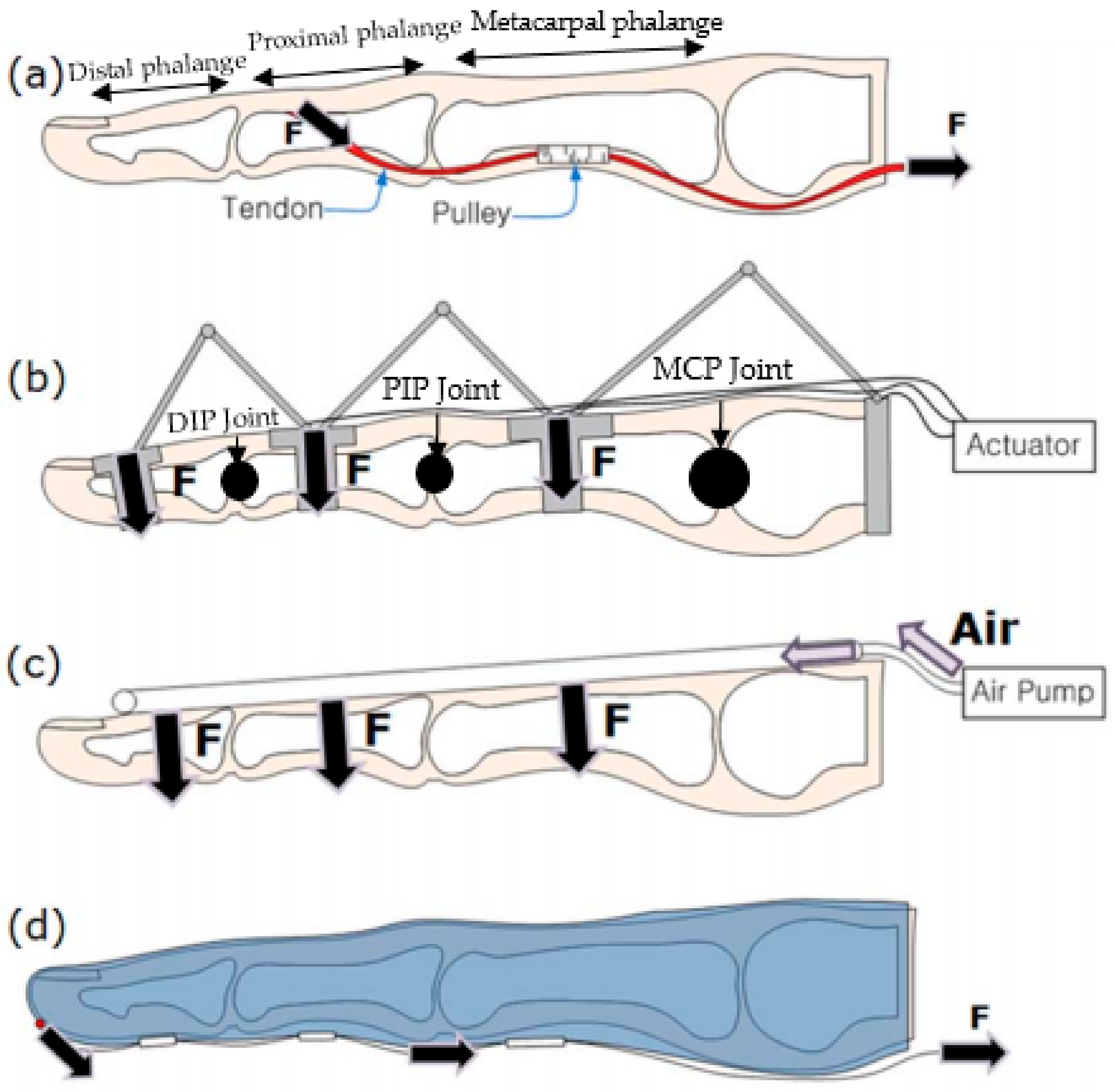 Biomimetics 03 00017 g001