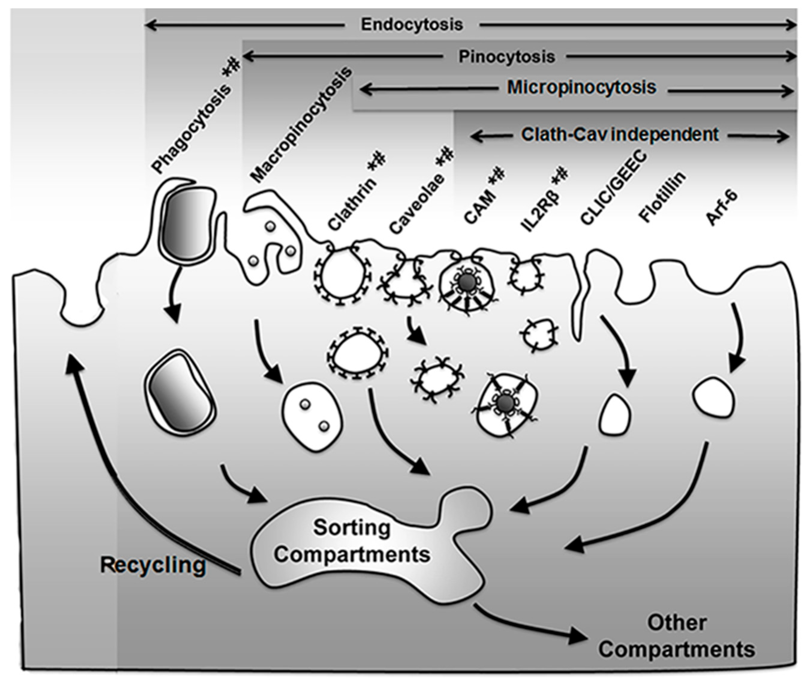 Biomimetics 03 00019 g001 Biomimetics 03 00019 g001