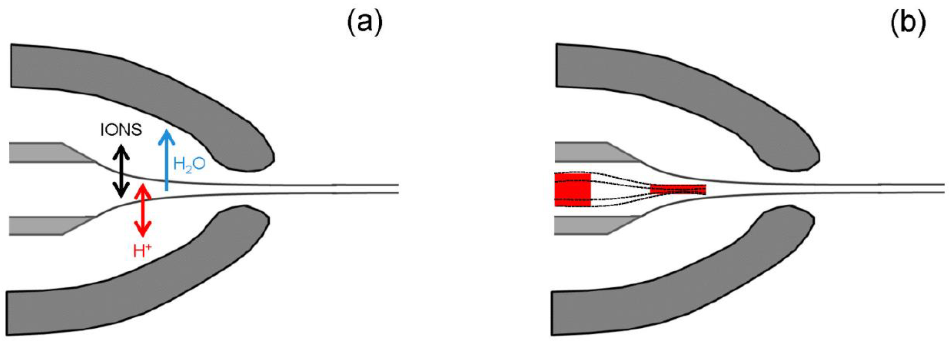 Biomimetics 03 00029 g002 Biomimetics 03 00029 g002