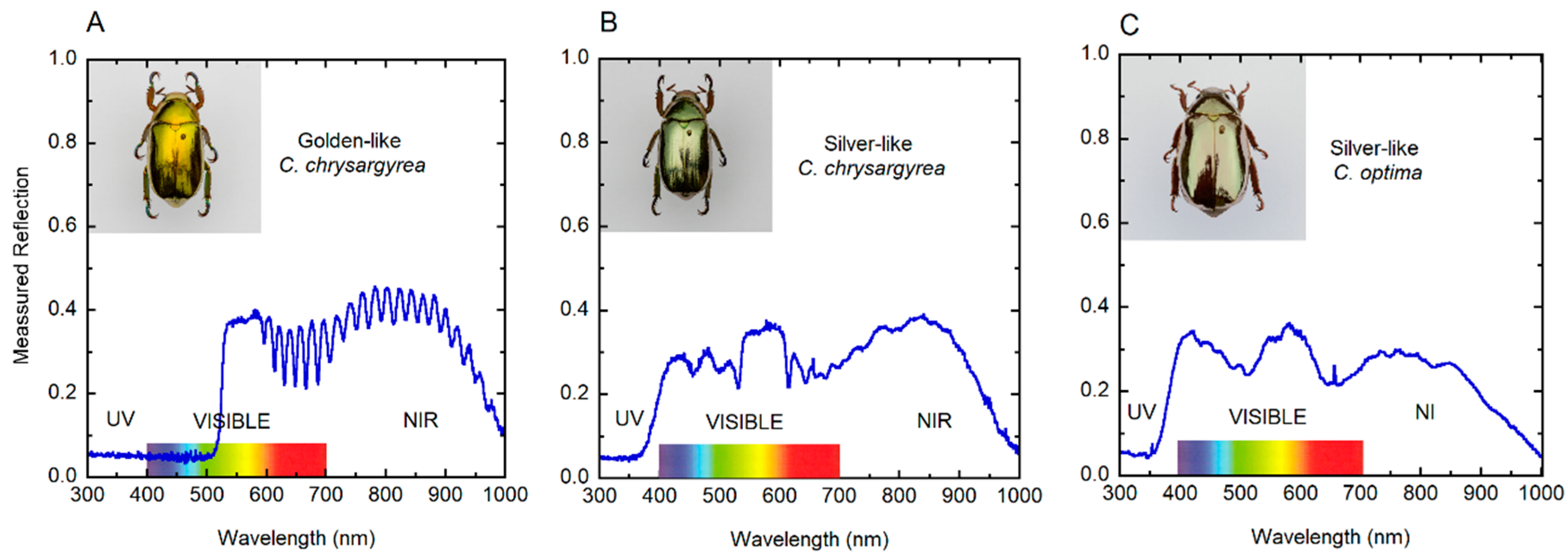 Biomimetics 03 00030 g002