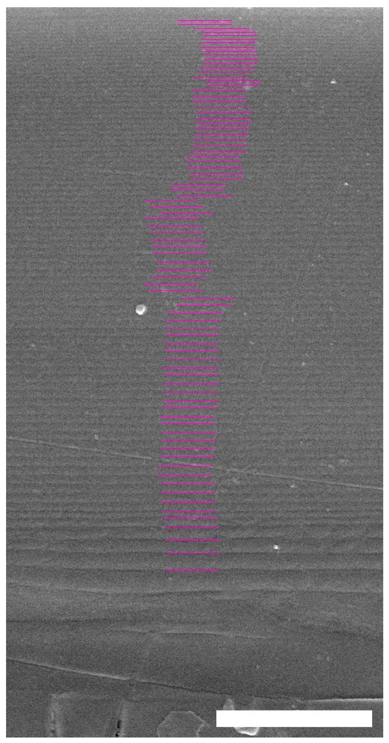 Biomimetics 03 00030 g003