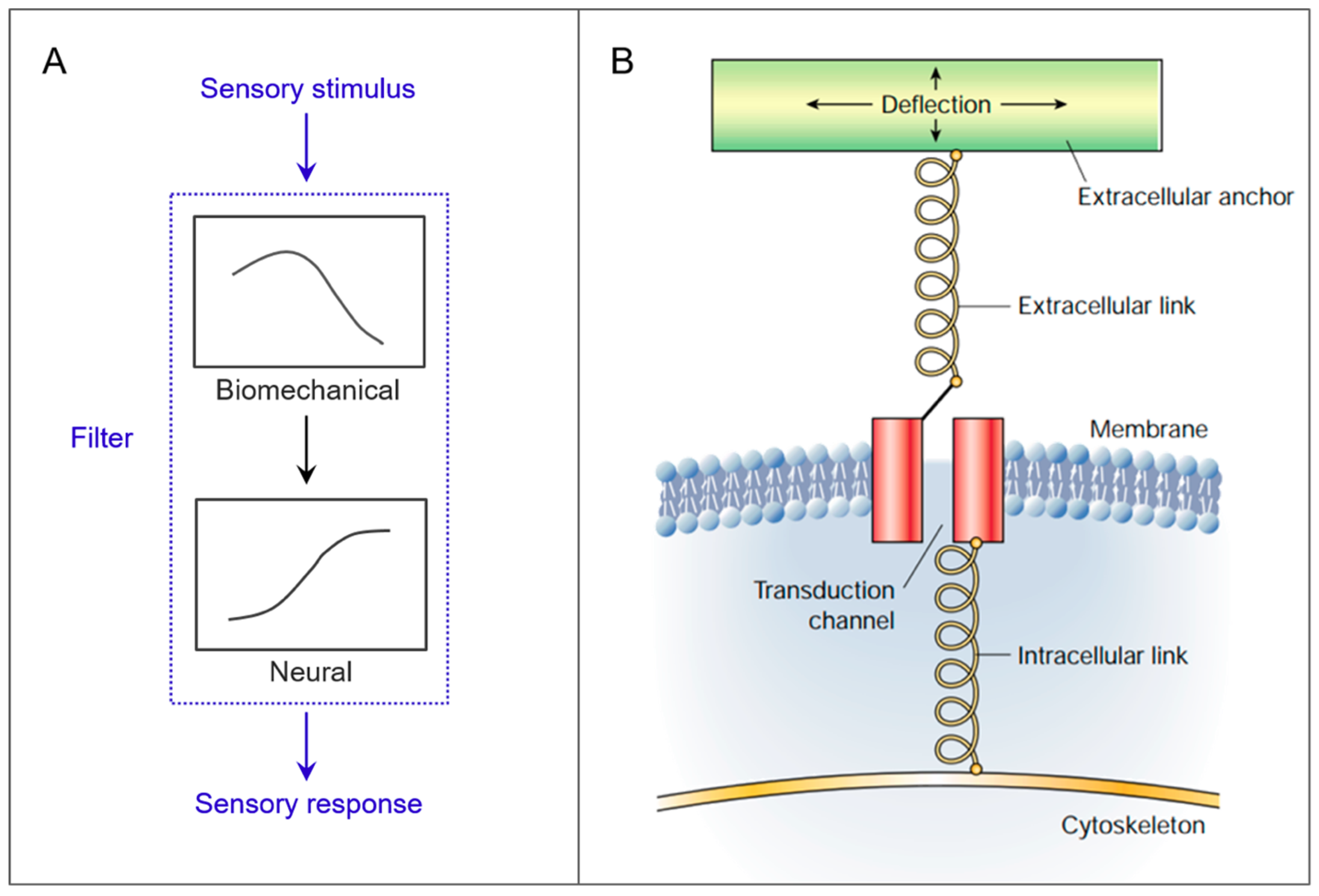 Biomimetics 03 00032 g001