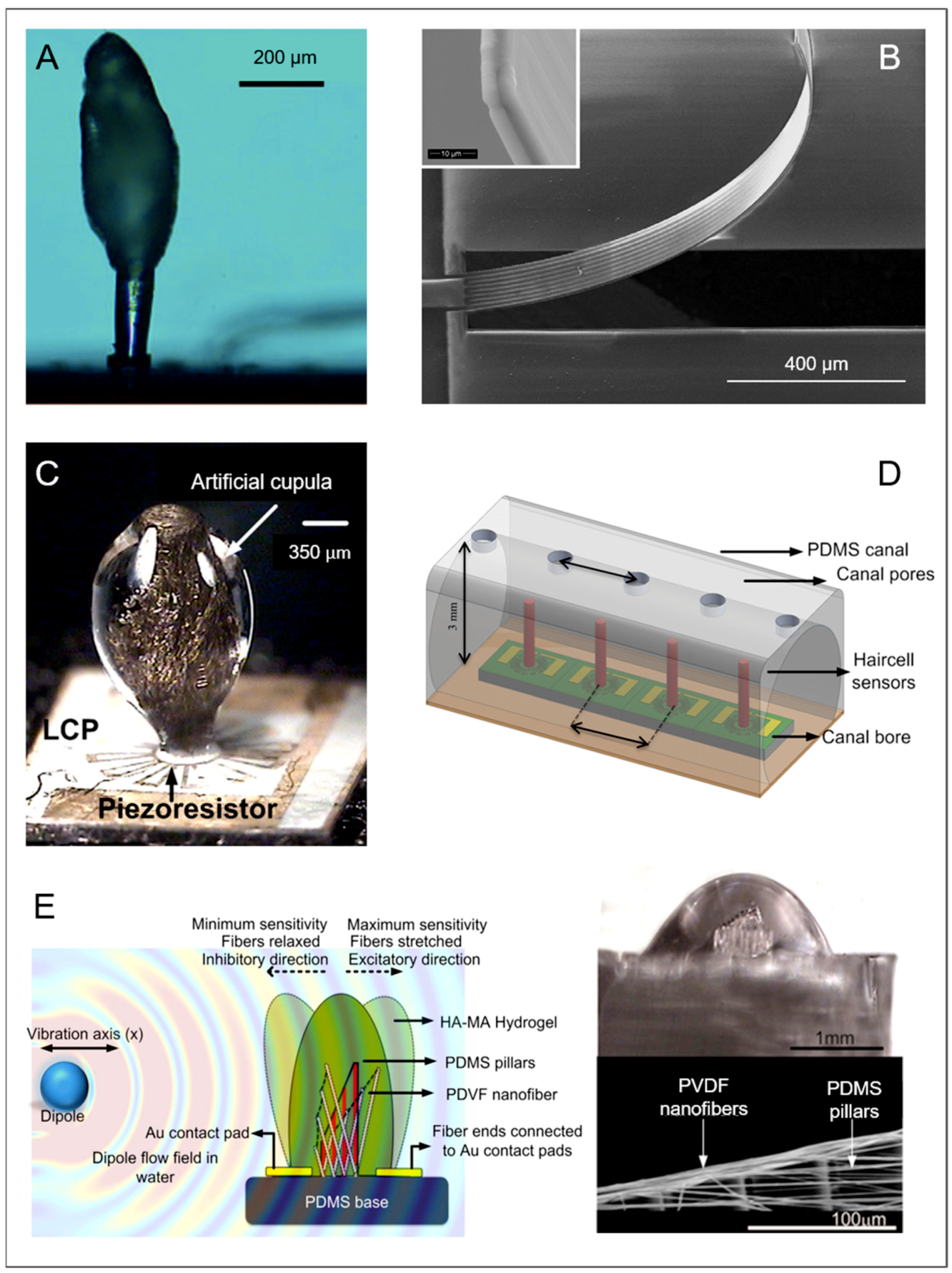 Biomimetics 03 00032 g007