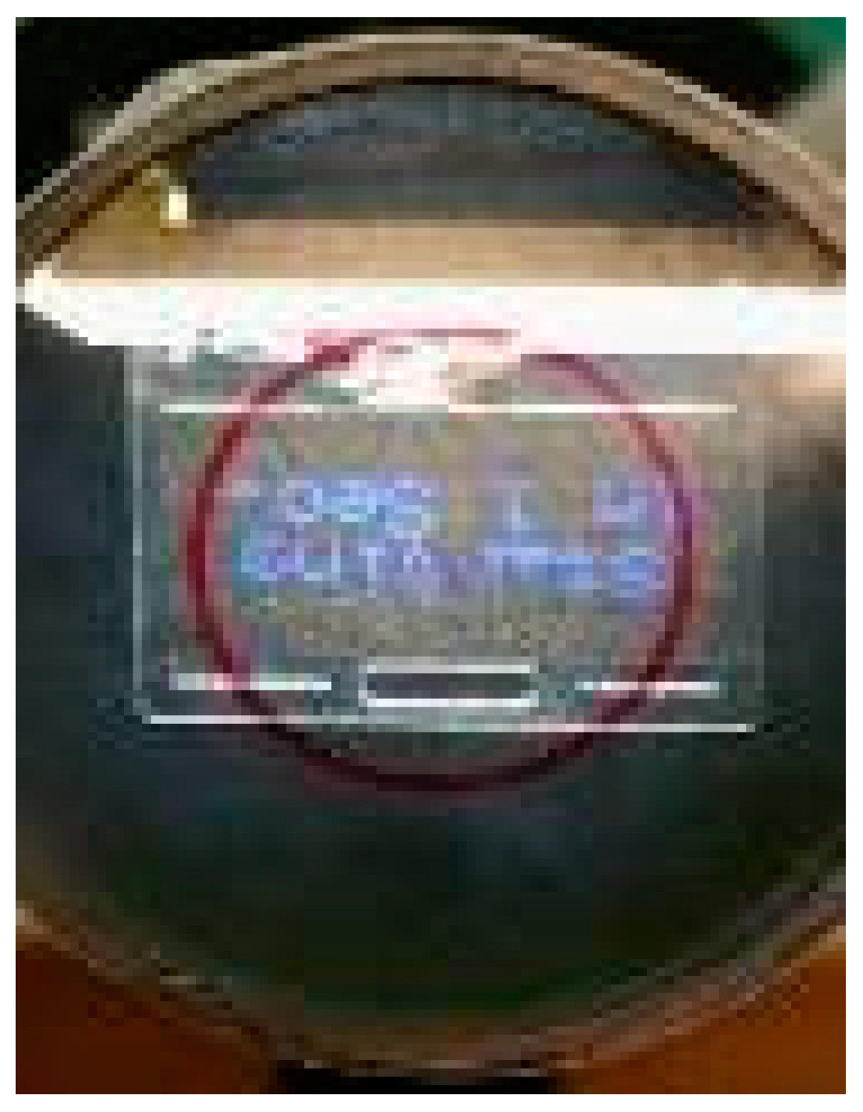 Biomimetics 03 00034 g010 550