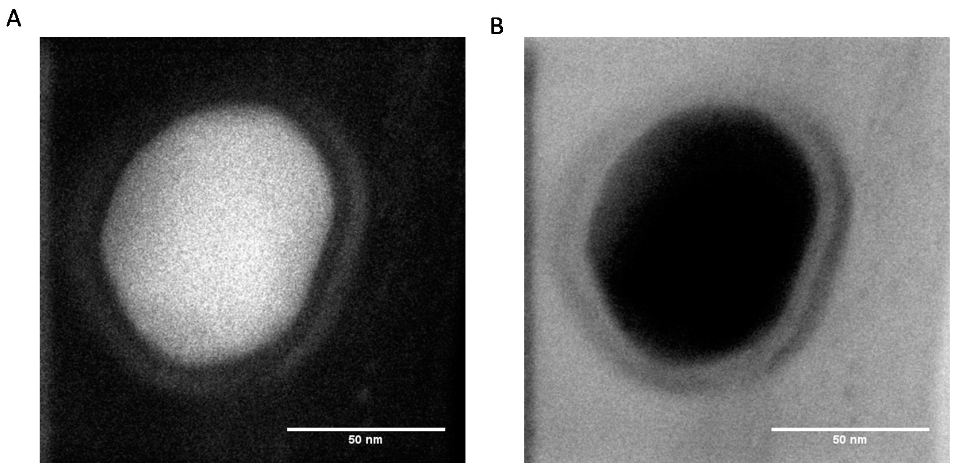 Biomimetics 03 00036 g003