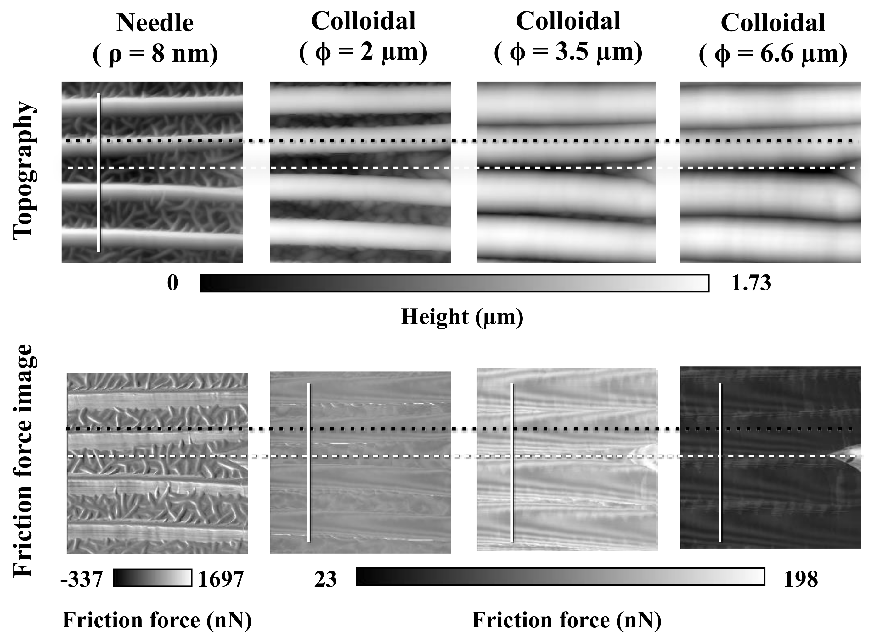 Biomimetics 04 00002 g006