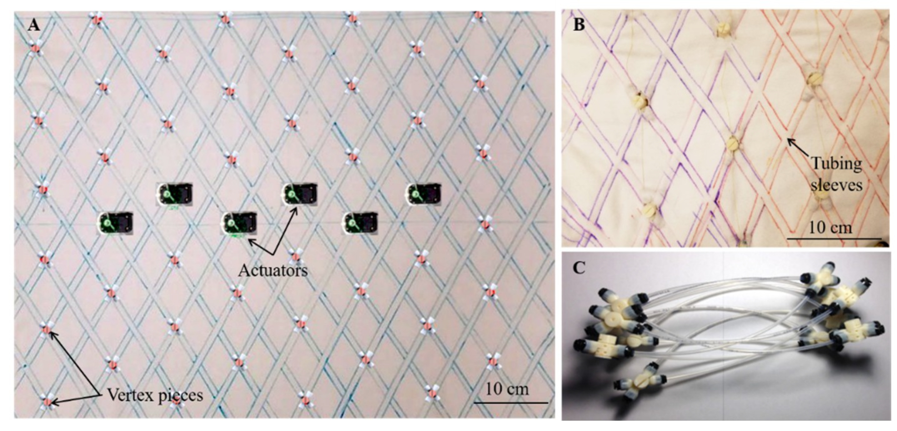 Biomimetics 04 00013 g003 550