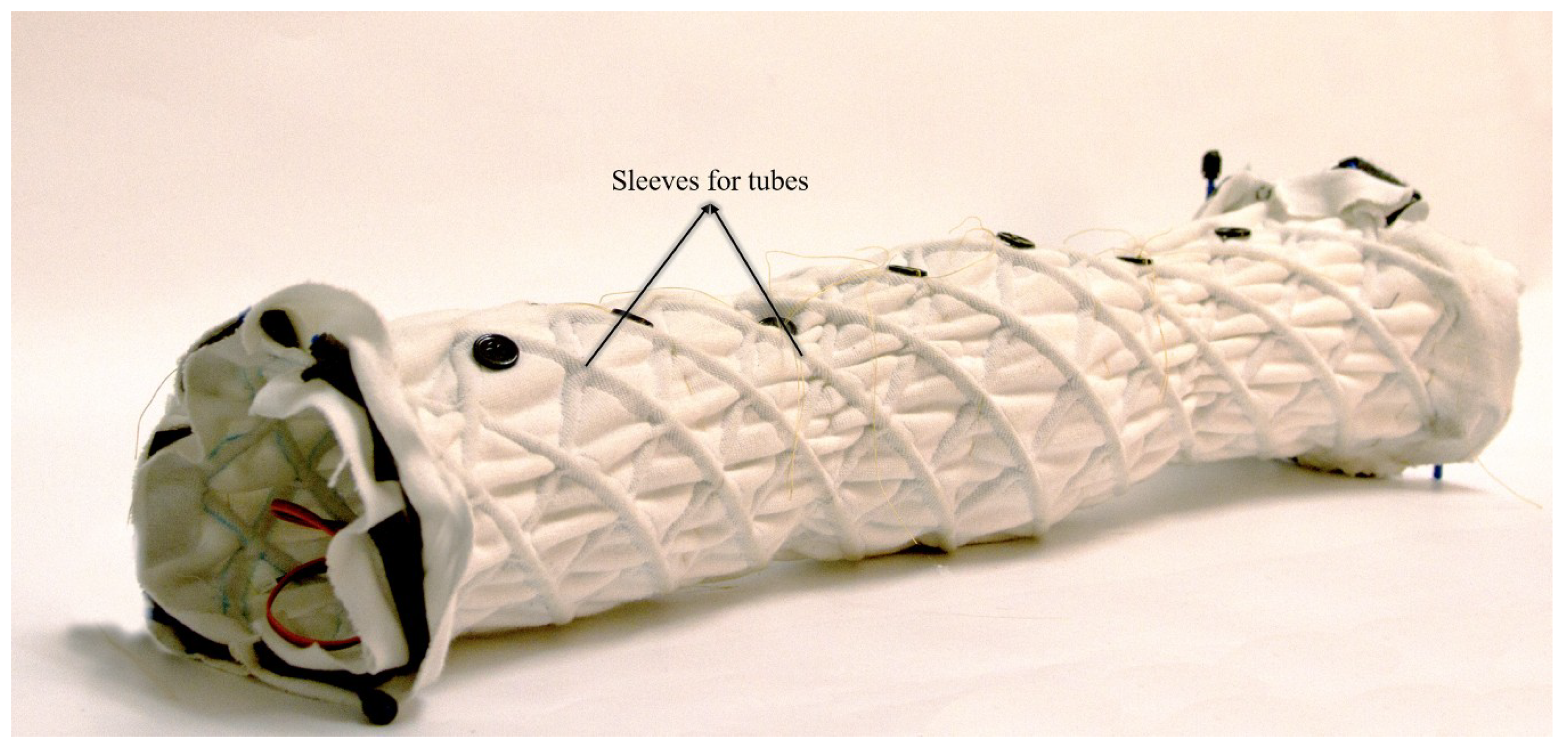 Biomimetics 04 00013 g006 550