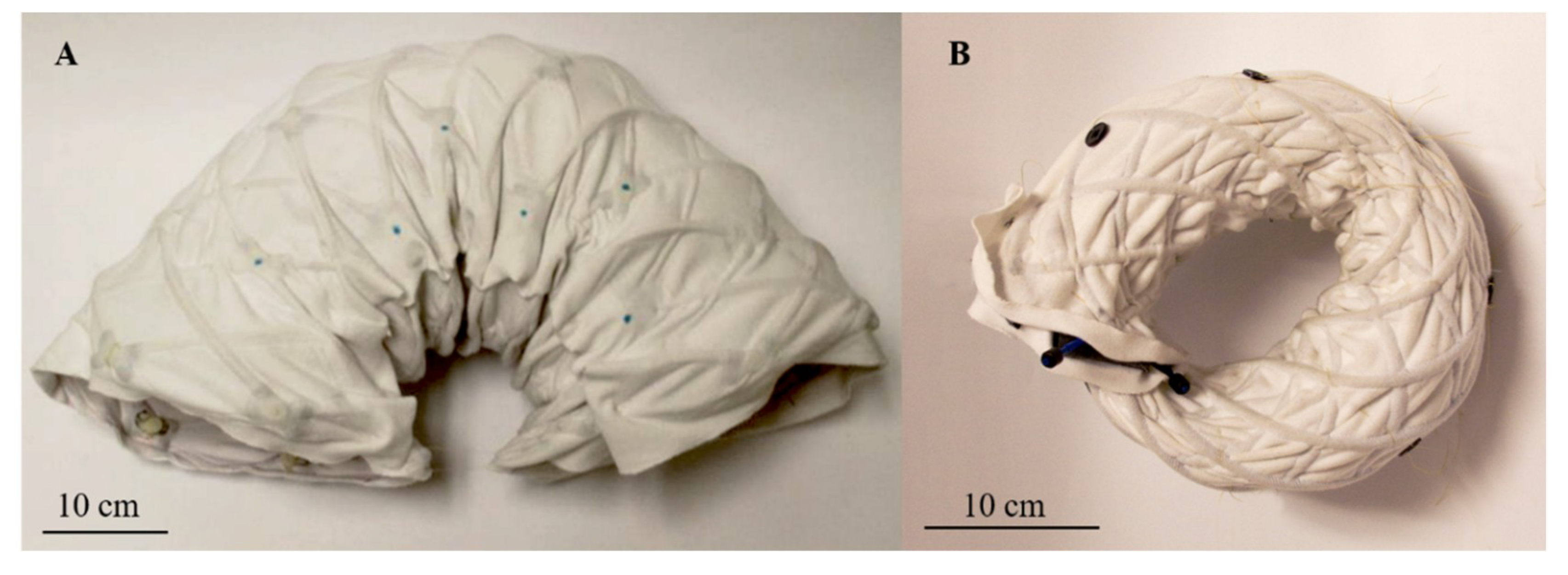 Biomimetics 04 00013 g010 550