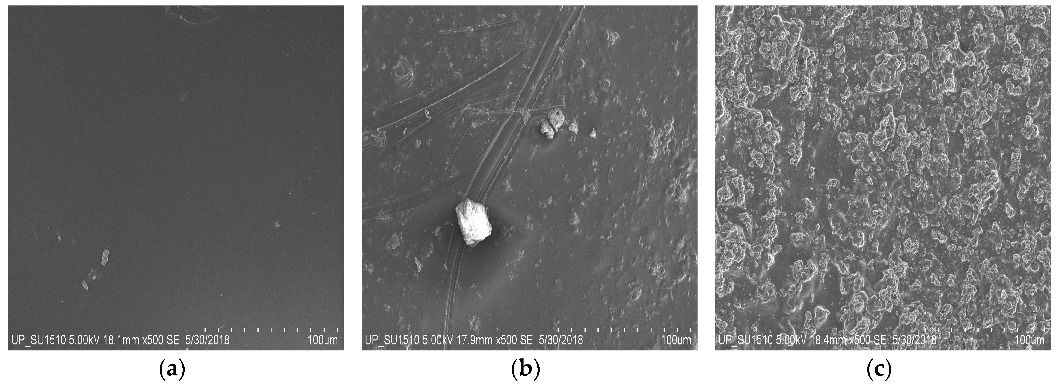 Biomimetics 04 00015 g002