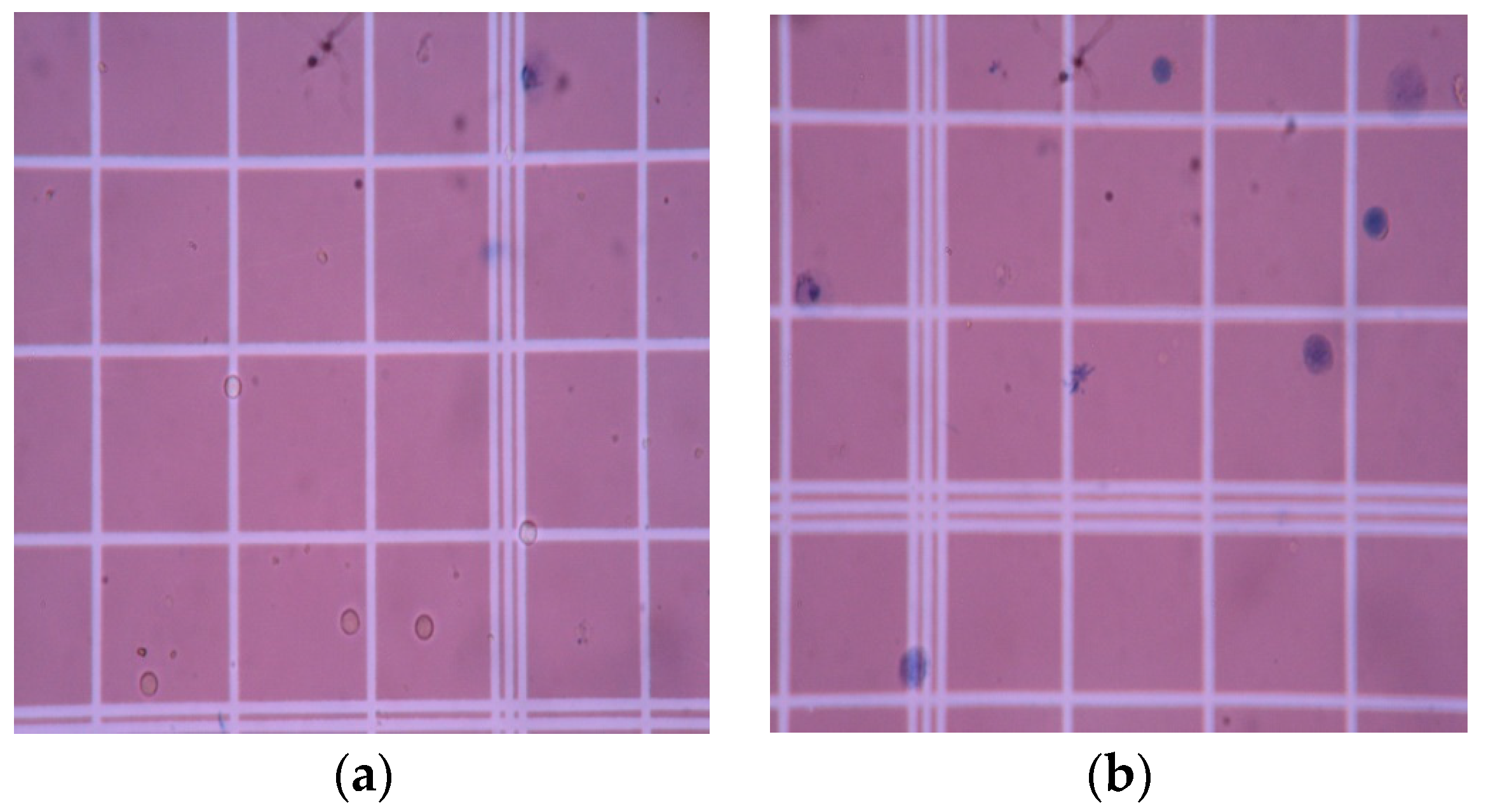 Biomimetics 04 00015 g007