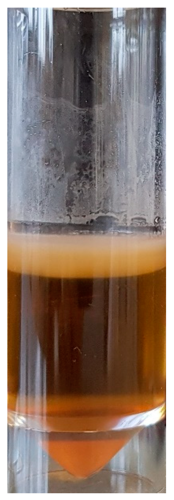 Biomimetics 04 00016 g002