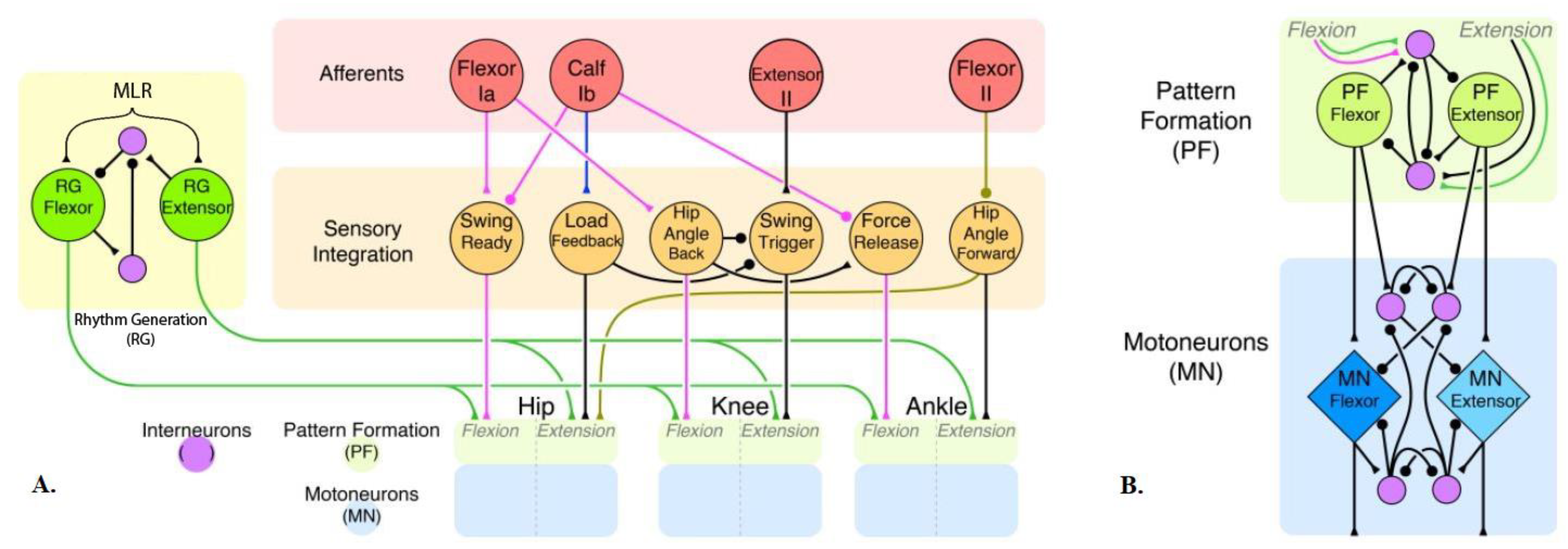 Biomimetics 04 00021 g002