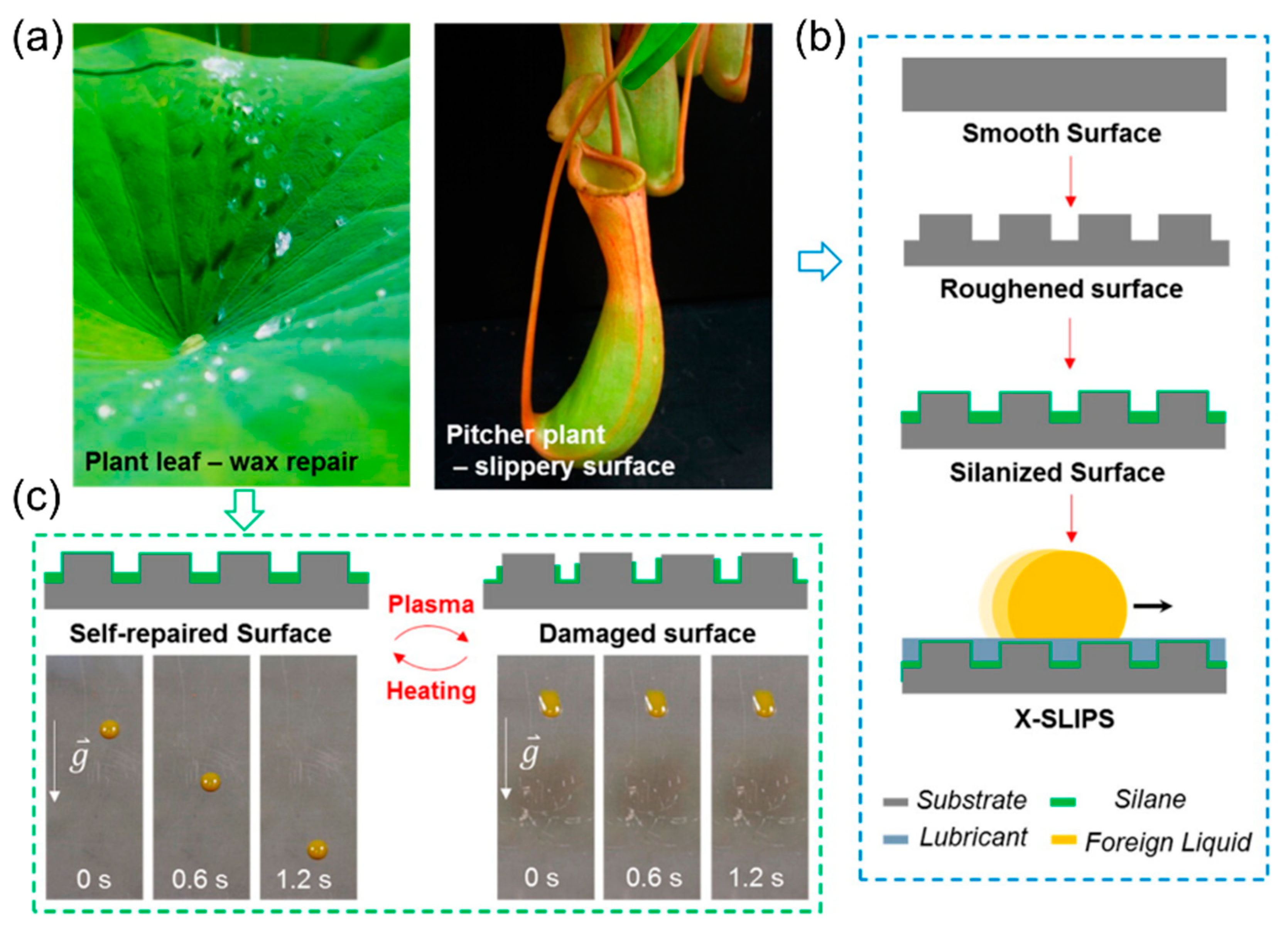 Biomimetics 04 00026 g008 550