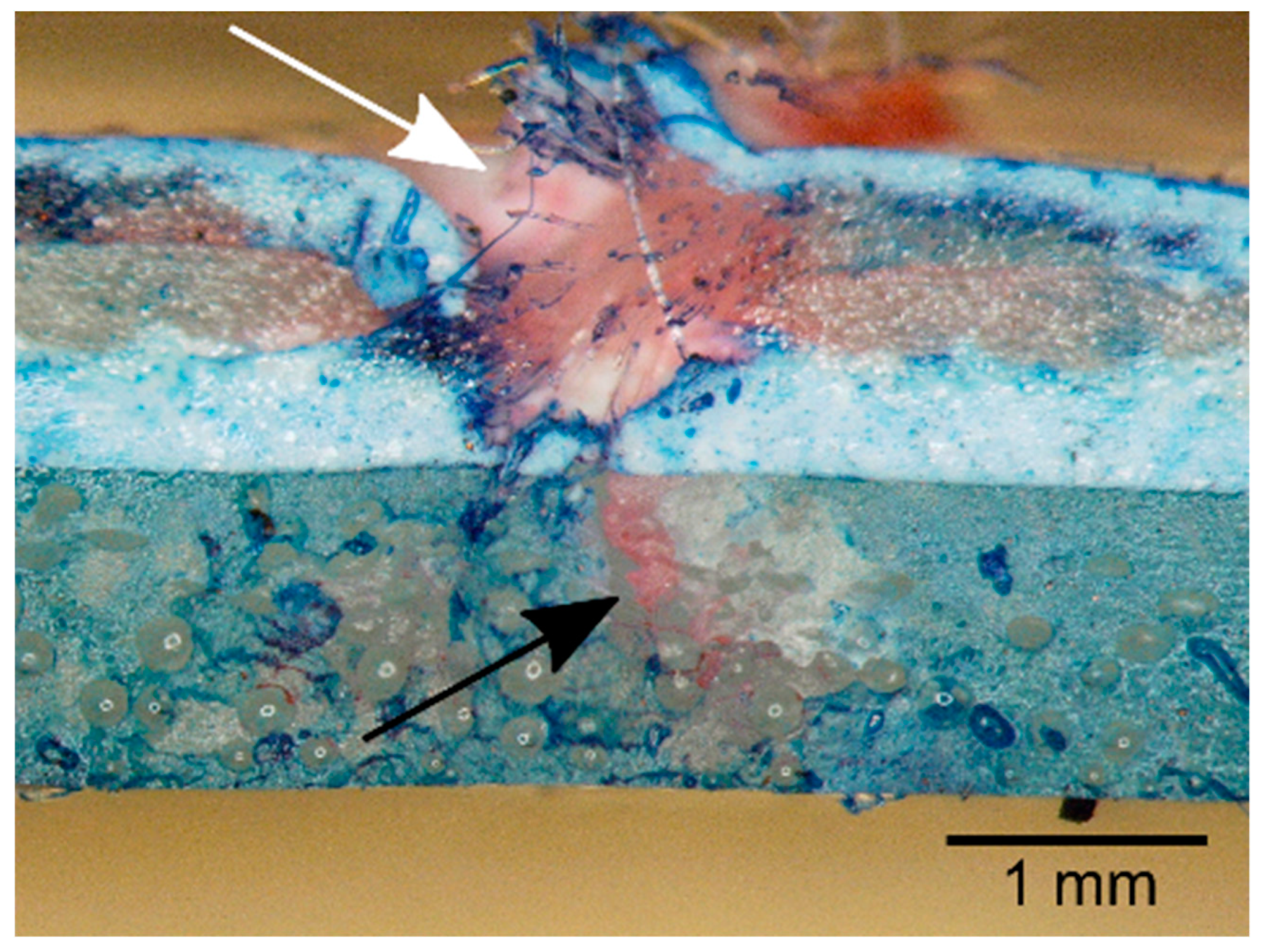 Biomimetics 04 00026 g009 550