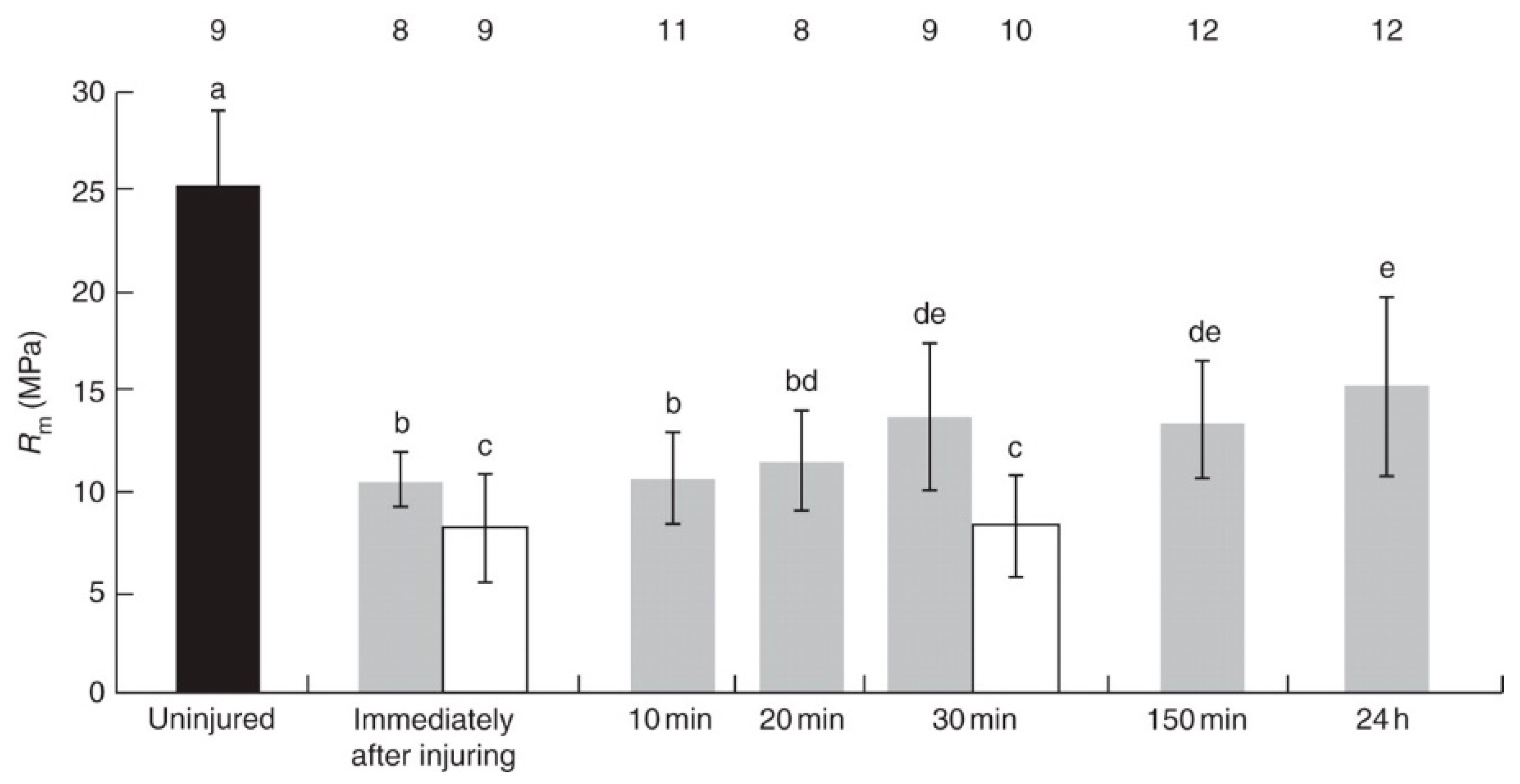 Biomimetics 04 00026 g010 550