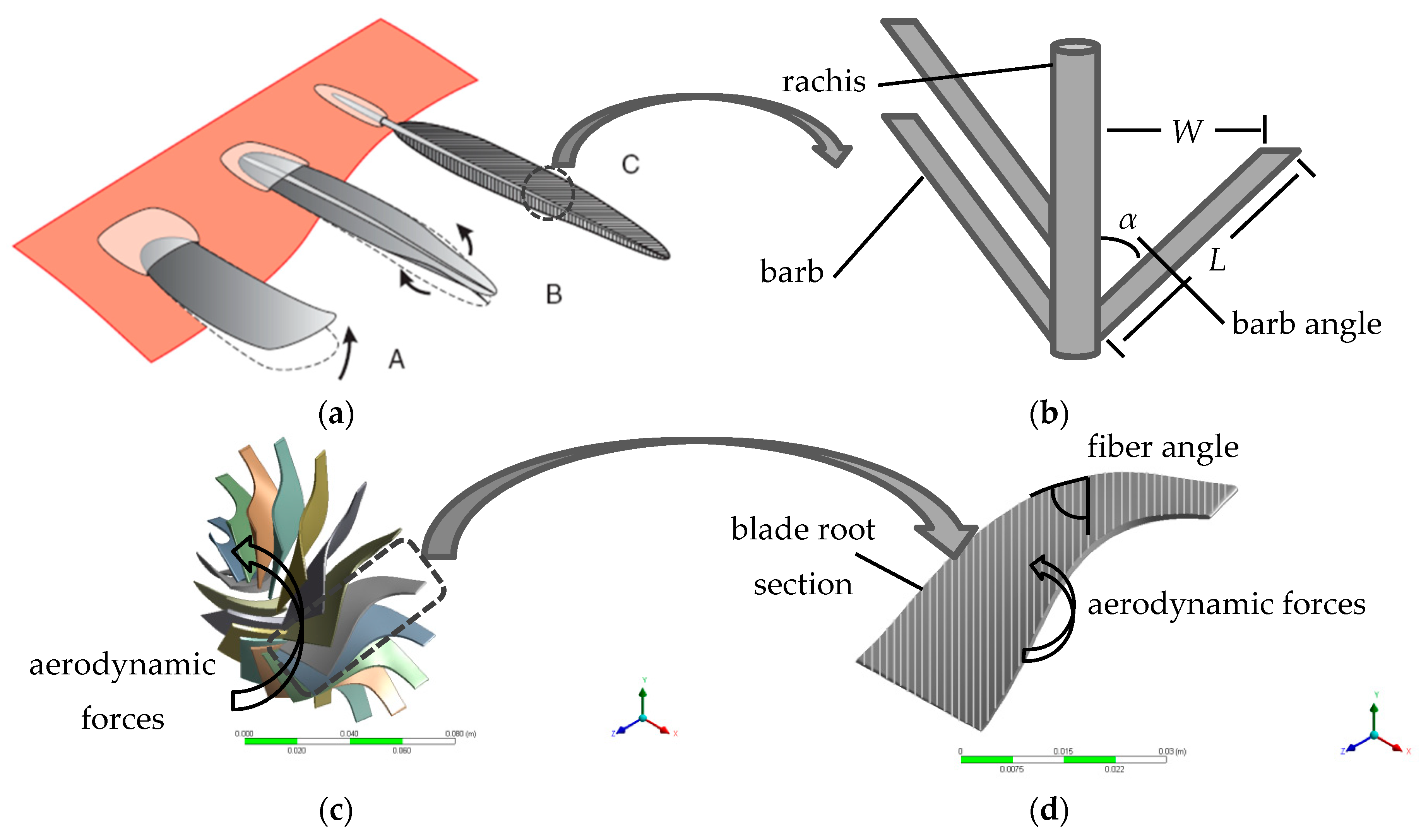Biomimetics 04 00027 g001